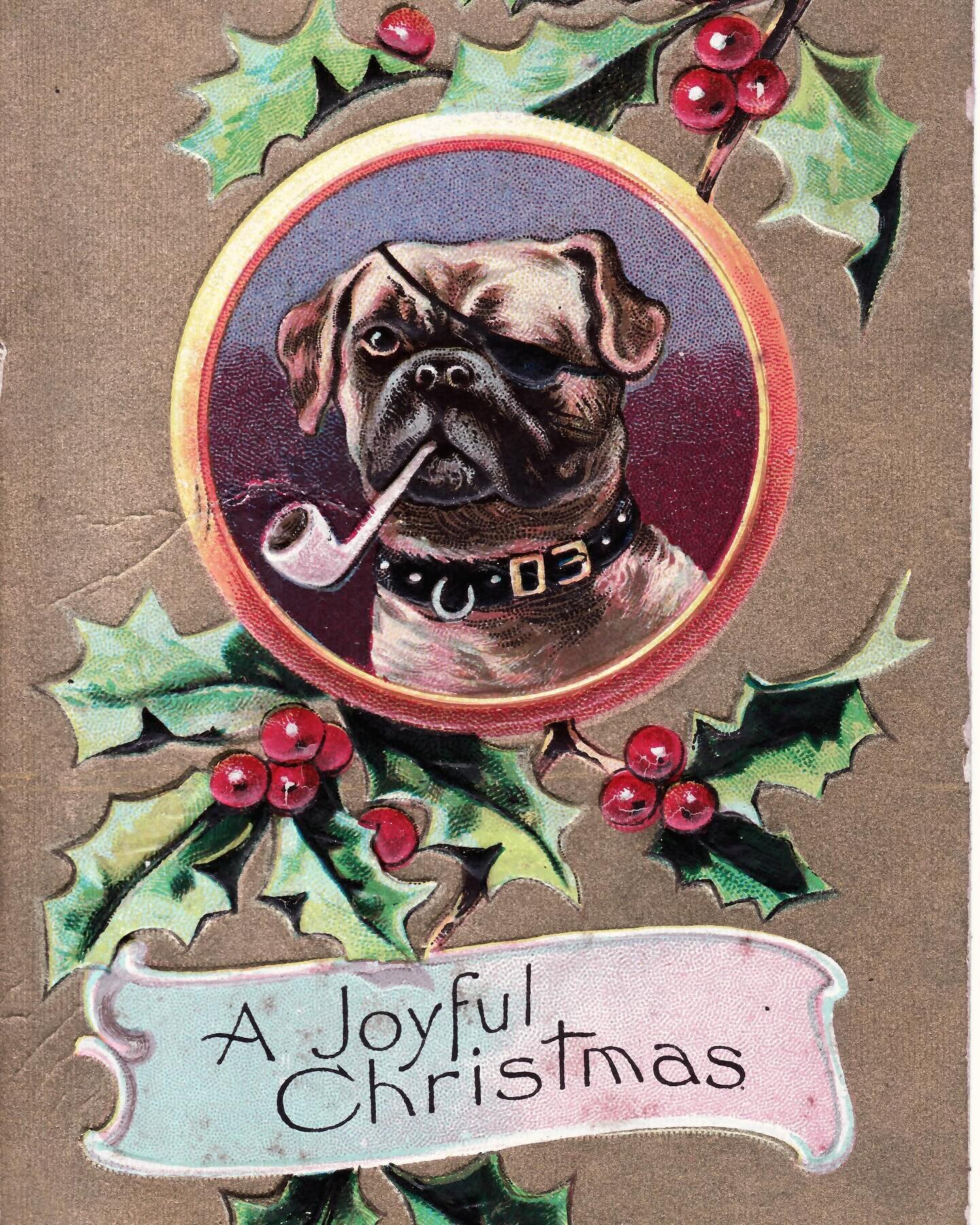 Happy Holidays! This card is from 1908 and was in my grandmother's #postcard #album #dog