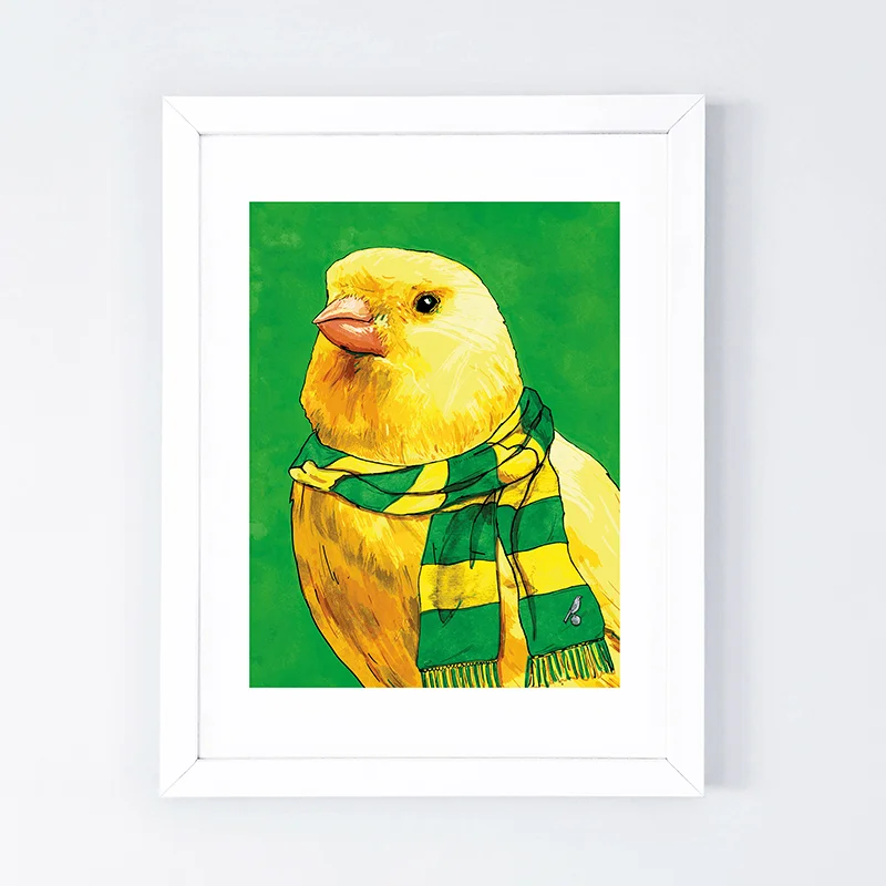 Proud Canary 1_800.jpg