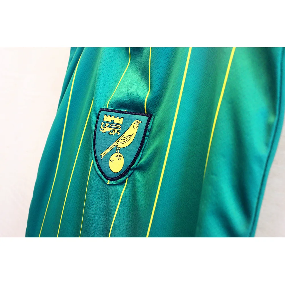 Norwich City 15-16_Away_A_close up 1_1000.jpg