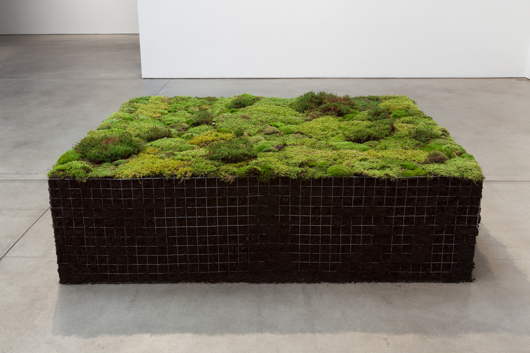 Meg Webster, Volume for Lying Flat , 2016, peat moss, green moss, soil, 25 x 59 x 81 1/2 in. (55.9 x 149.9 x 207 cm)