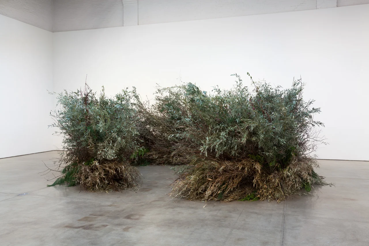 Meg Webster, Stick Structure , 2016, various branches, twigs, and flowering plants, approximately 72 x 192 inches in diameter (182.8 x 487.6 centimeters)