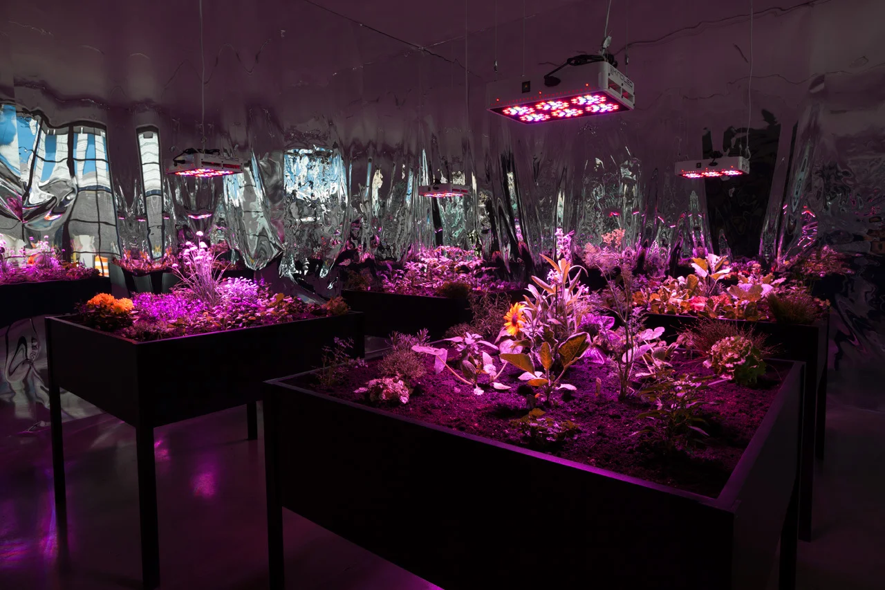 Meg Webster, Solar Grow Room , 2016, 4 raised wooden planters with grass, flowers and other vegetation, off-grid solar powered electrical system, grow lights, mylar covered walls, each planter: 42 x 50 x 50 inches (106.8 x 127 x 127 cm) in room 13'10" x 21' 6" x 21' 6"