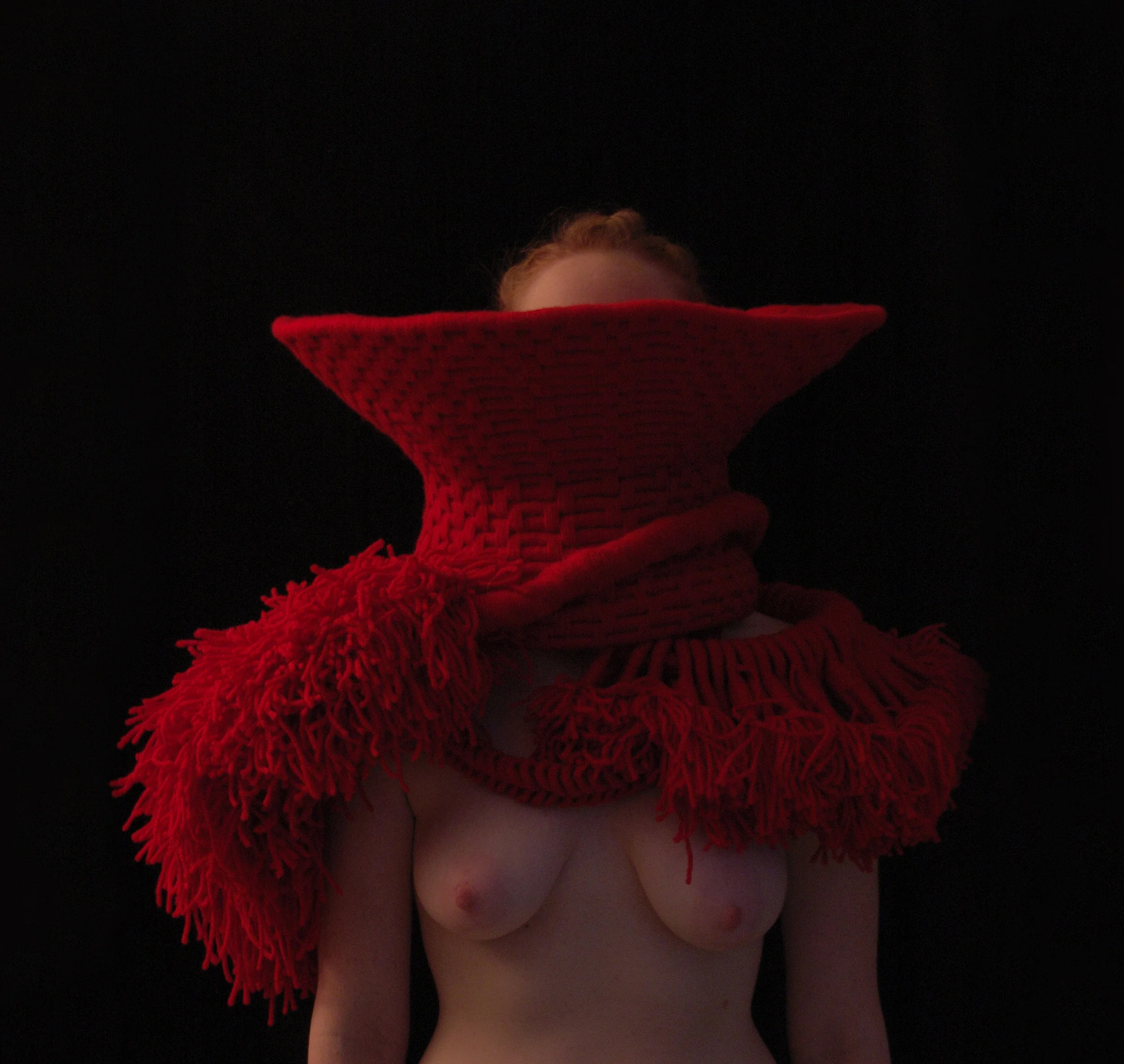 Tiff Massey, Sasha , 22” x 15” x 7”, rope and wool, Molly , 18” x 16” x 5”, rope and wool, Abby , 18” x 16” x 10”, rope and wool, from the “Je Ne Sais Coiff” series, 2013. Image Courtesy of the artist.