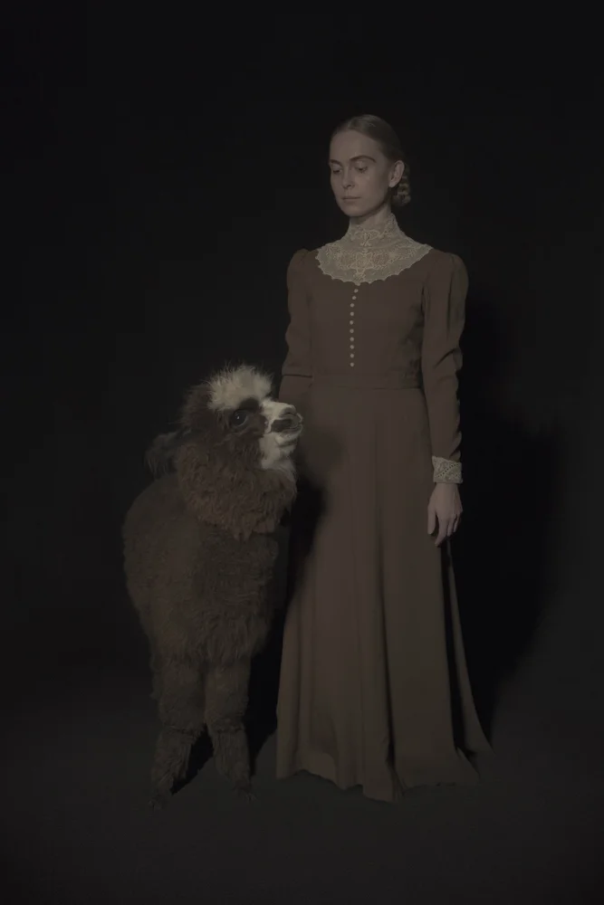 The Woolgatherer , 7 9/10" × 9 4/5", archival pigment print, 2017