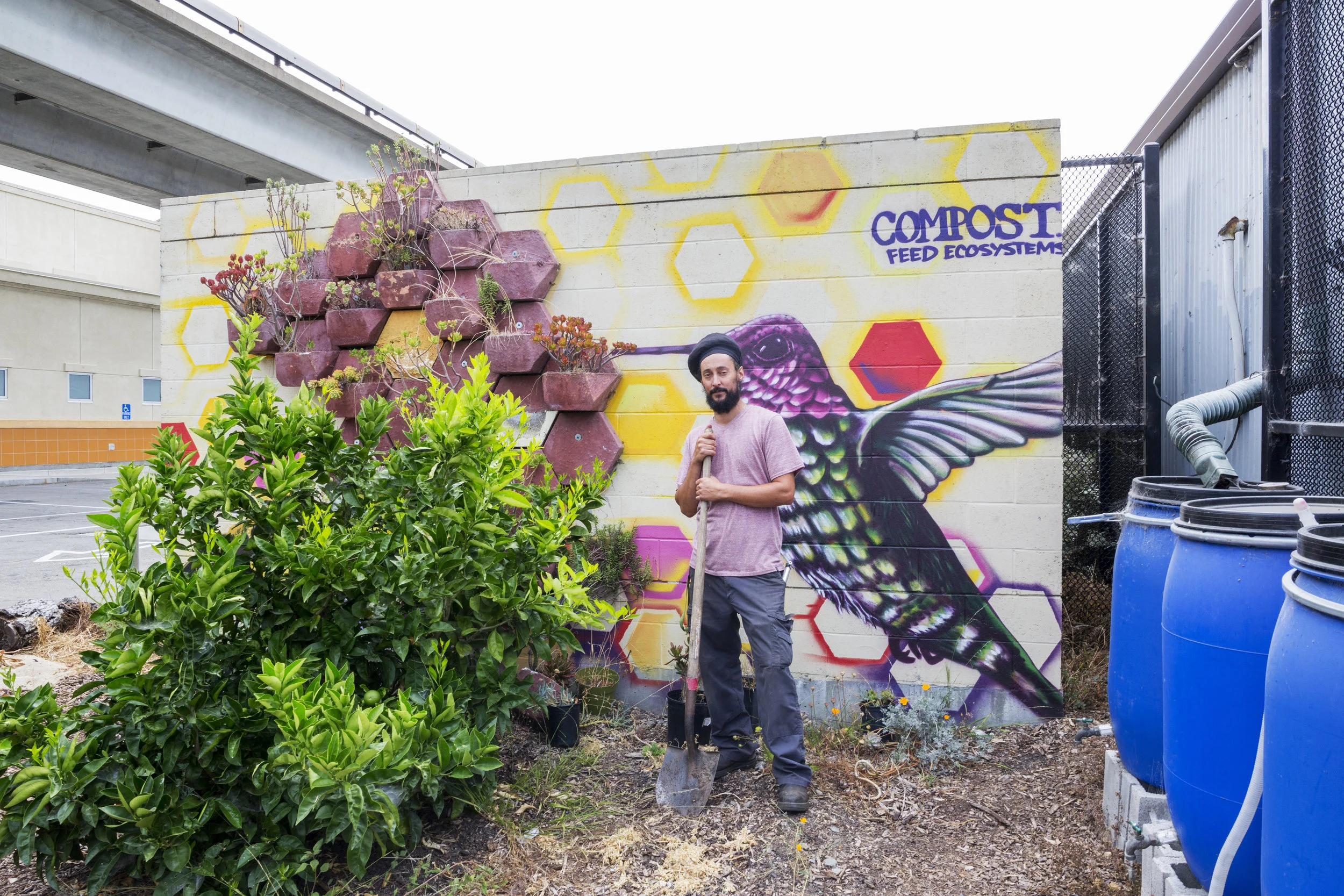 From ongoing exhibition: Take Root: Oakland Grows Food , Matthew Linzner, program manager for Love Cultivating Schoolyards , at work in the garden. Courtesy of Oakland Museum of California. 