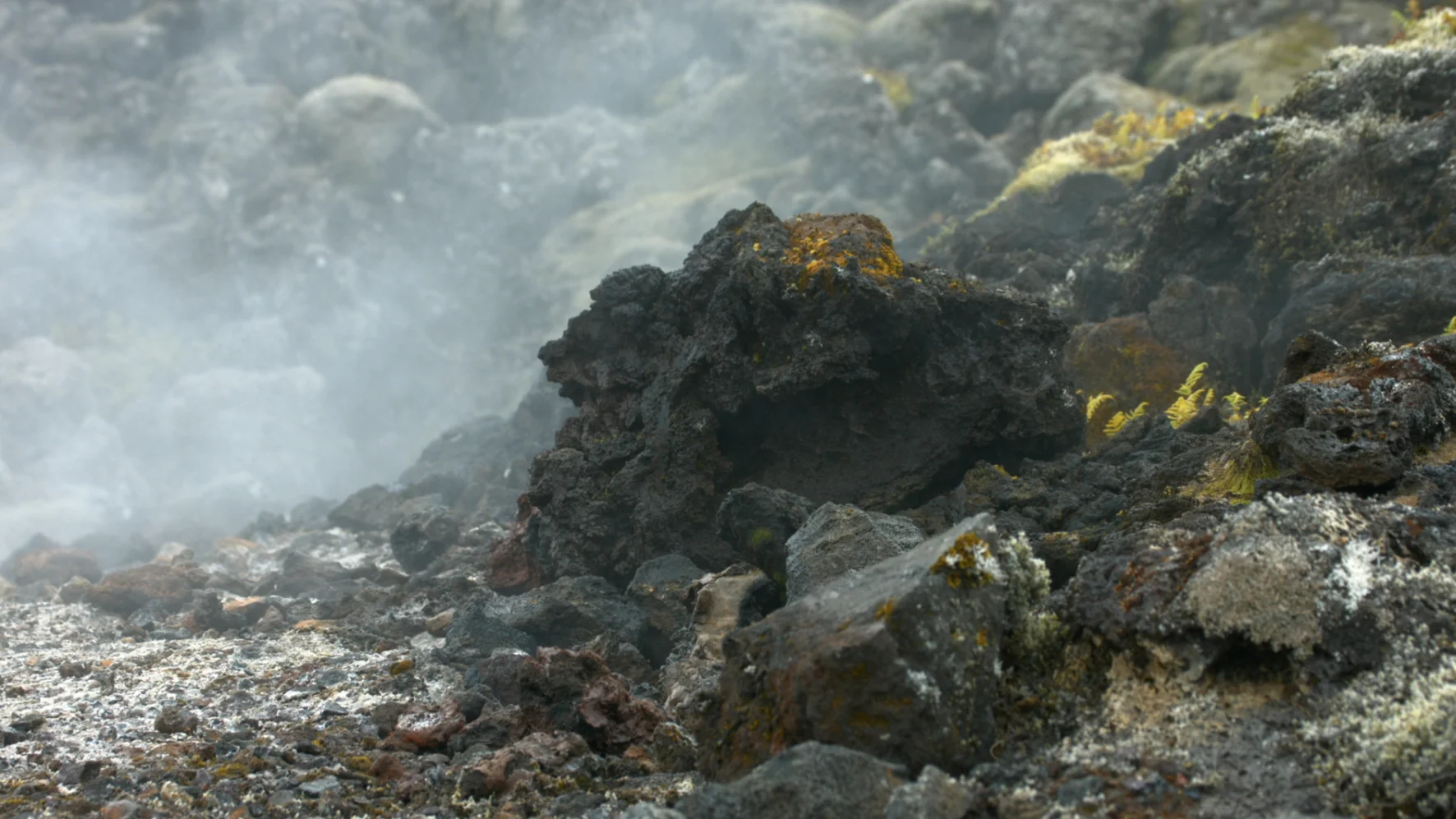 Still image from “Wonders of the Volcano”, 2018, HD video, 11:23 min