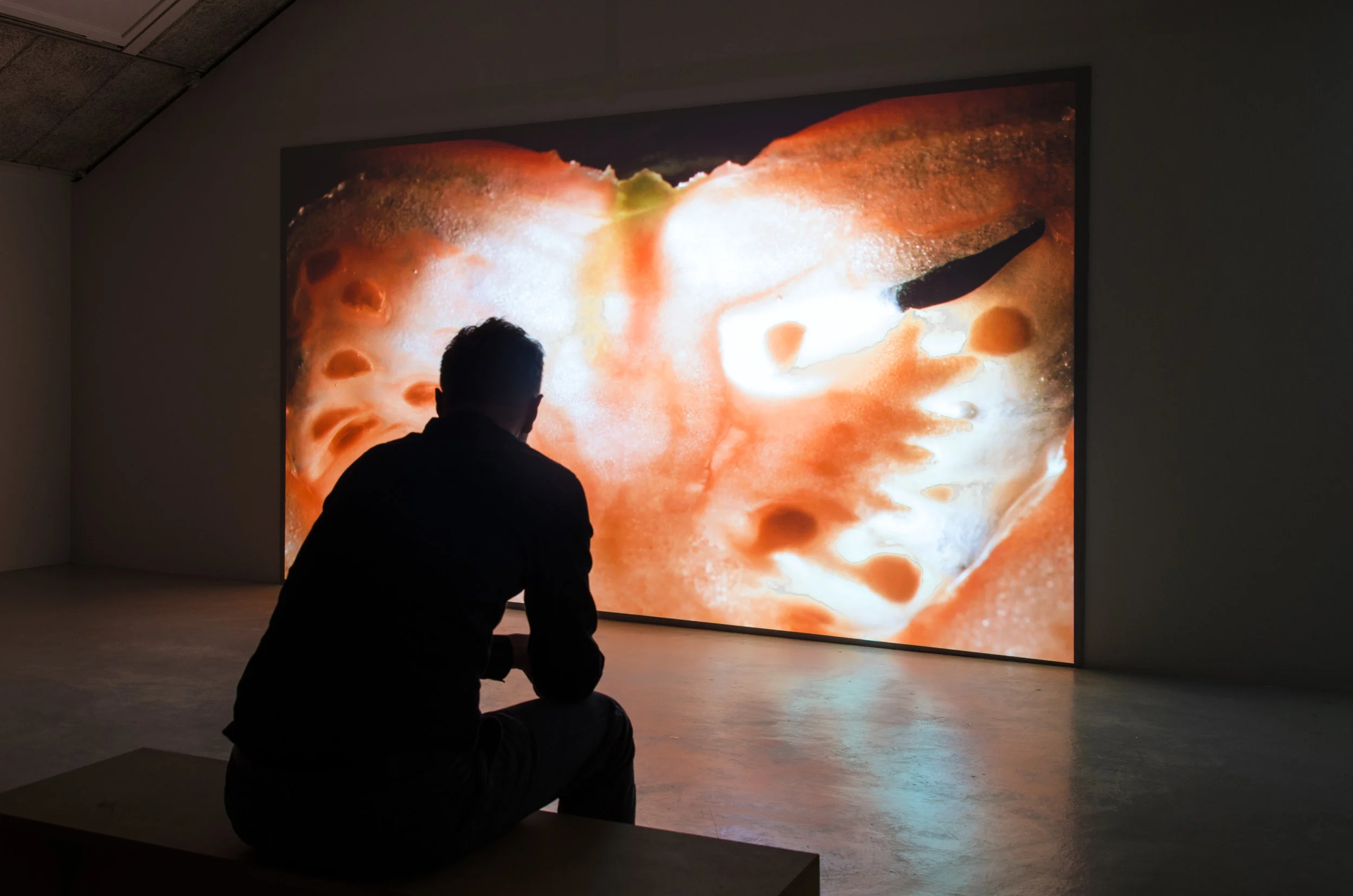Exhibition view, video projection of “Earth and Reveries of Repose—Reveries of Material Interiority”, 2015, HD video, 23:52 min. Ram Gallery, Oslo, 2015