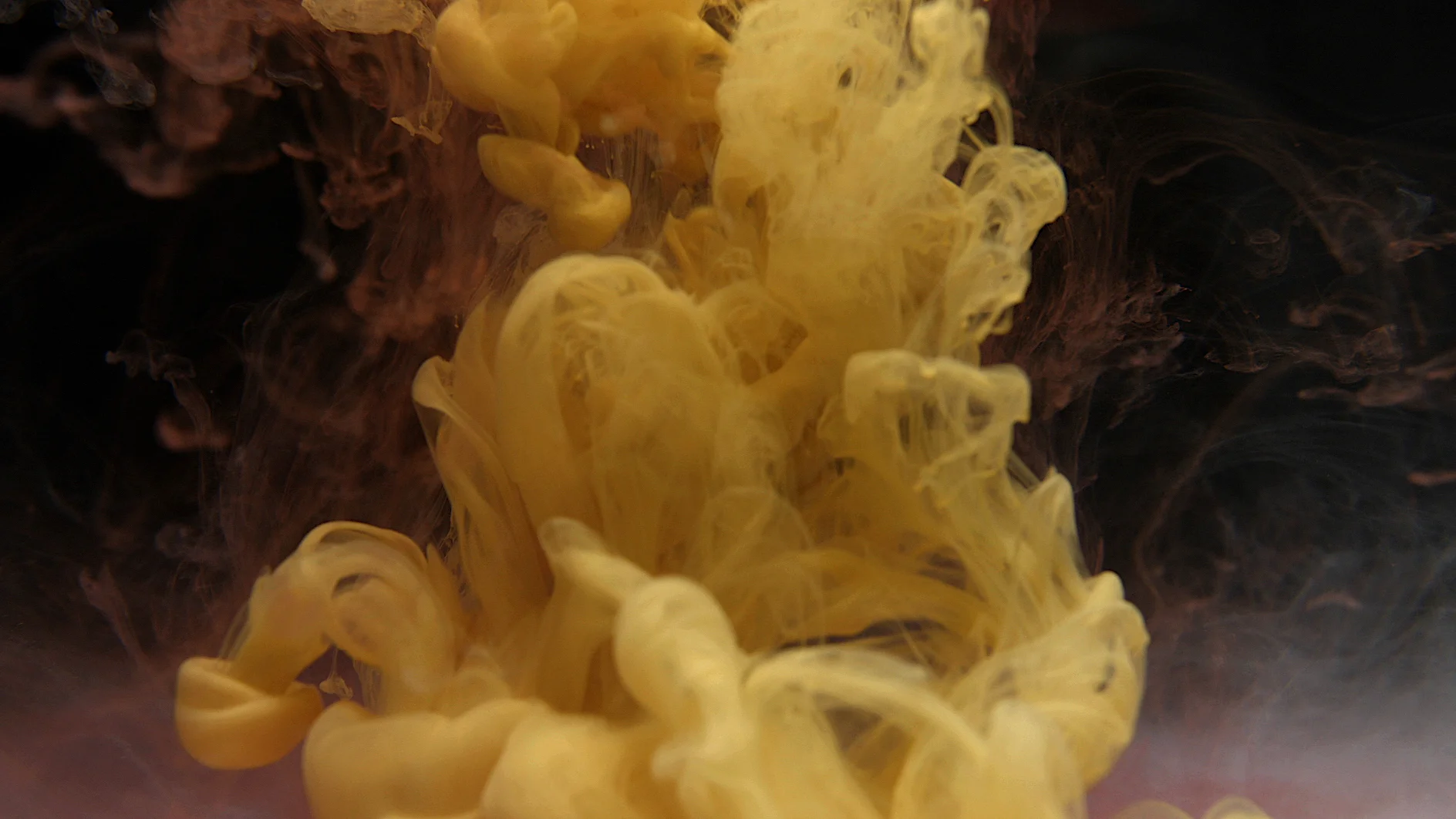 Still image from “Earth and Reveries of Repose - Reveries of Material Interiority”, 2015, HD video, 23:52 min.