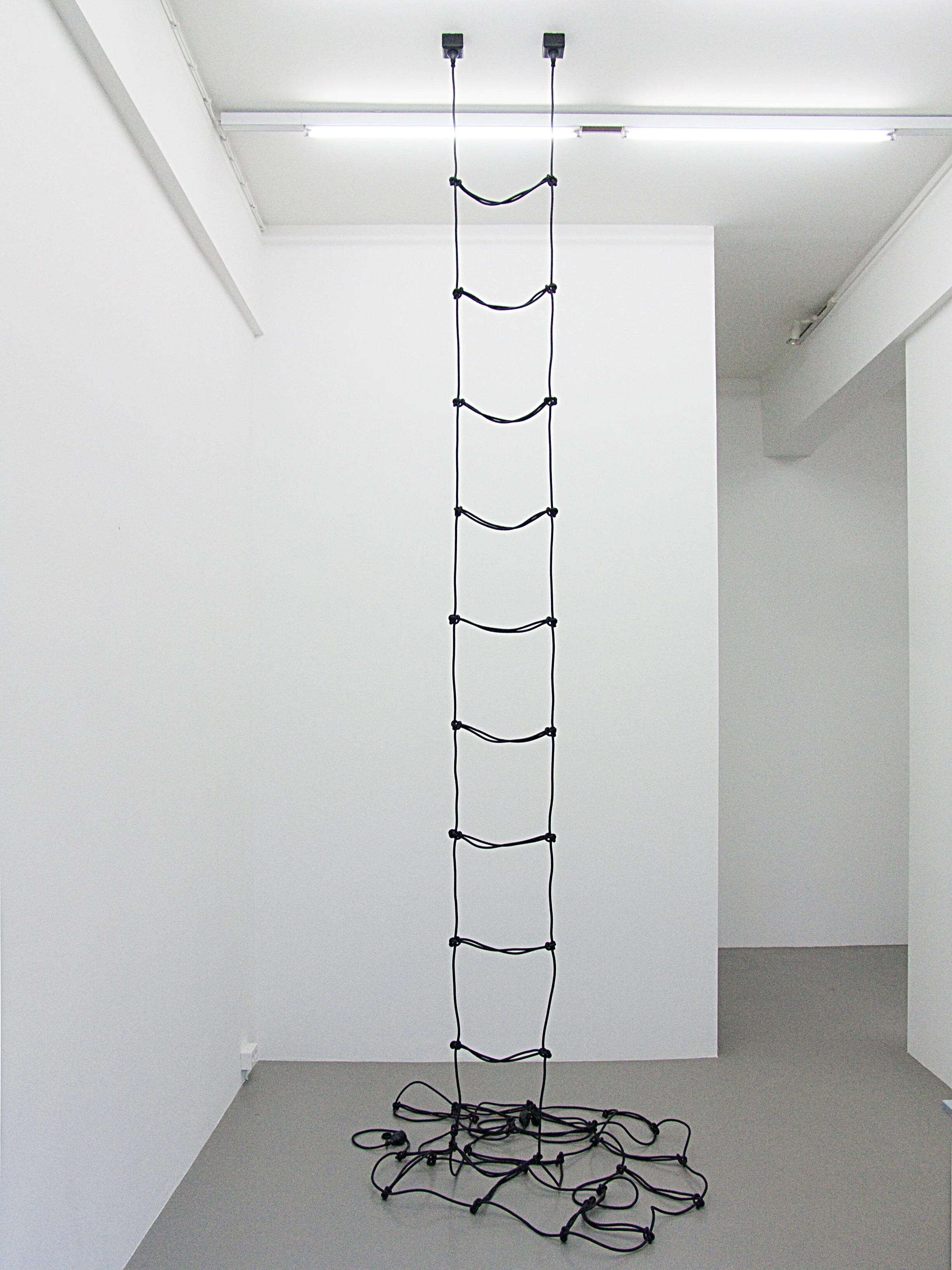 Leiter , installation view, two 82-foot cables + 2 Plugs, Charim Ungar Contemporary Gallery, Berlin 2010