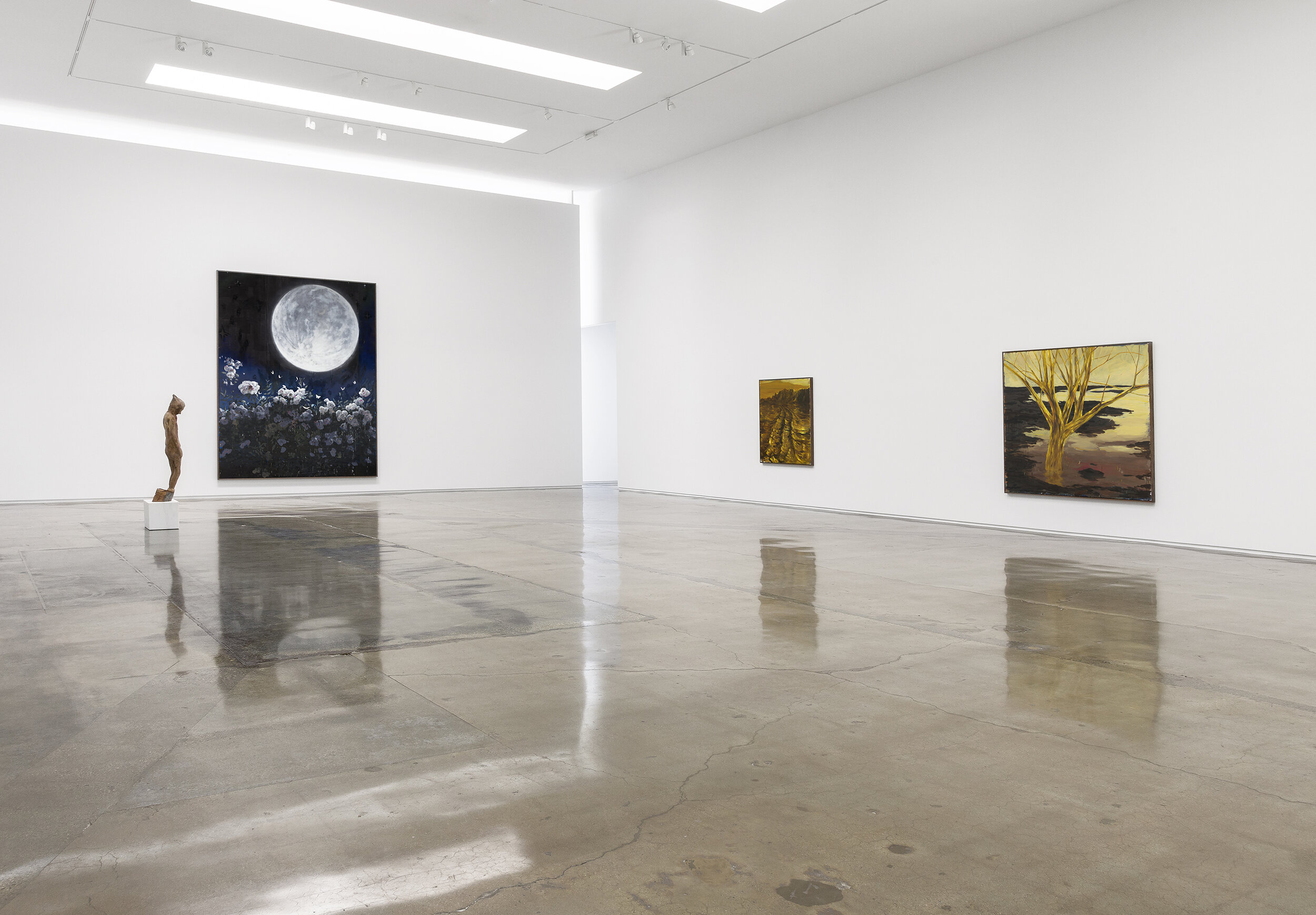 Installation View, Kohn Gallery 