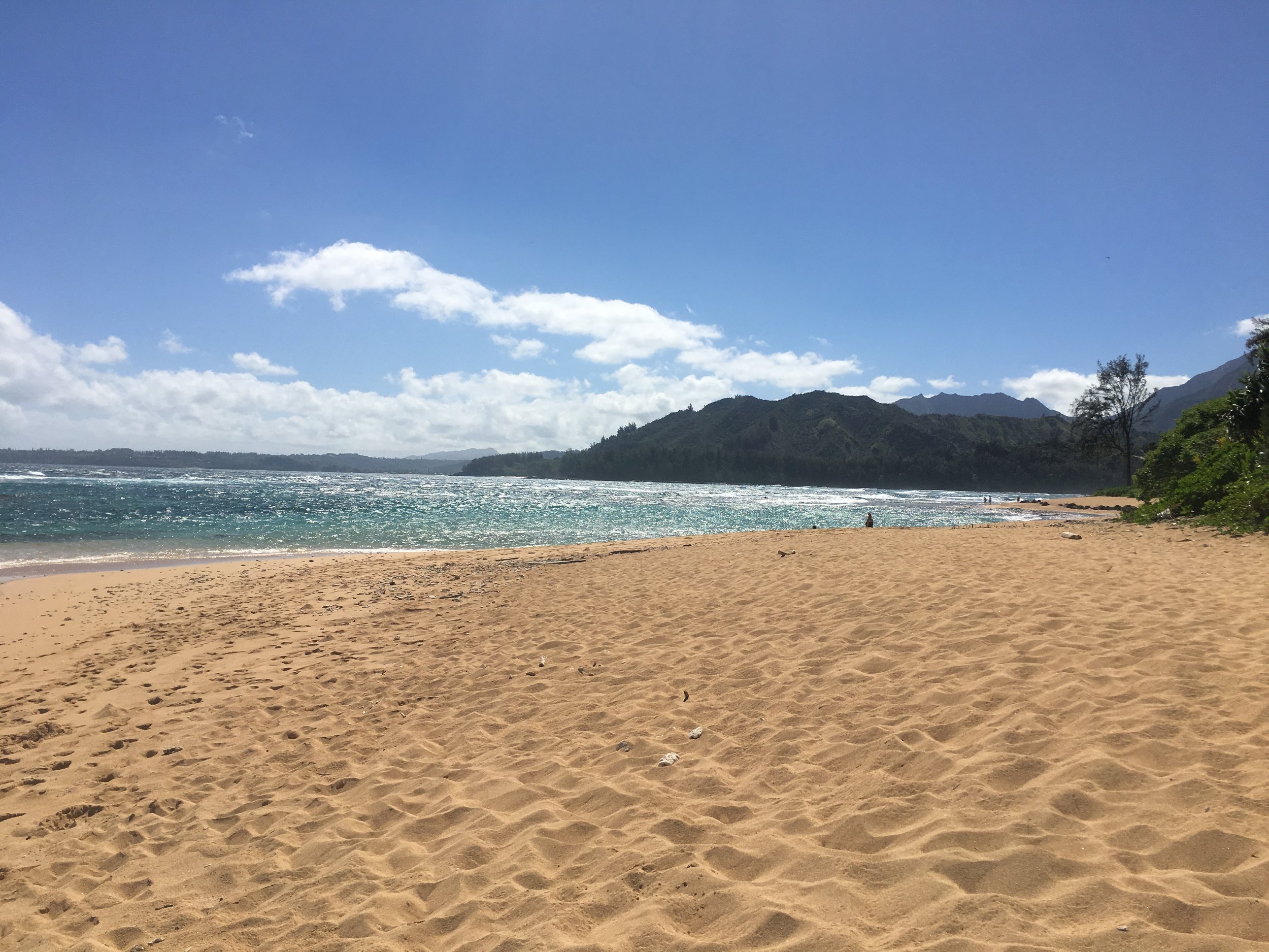 B 28 Beach in front of HMC.JPG