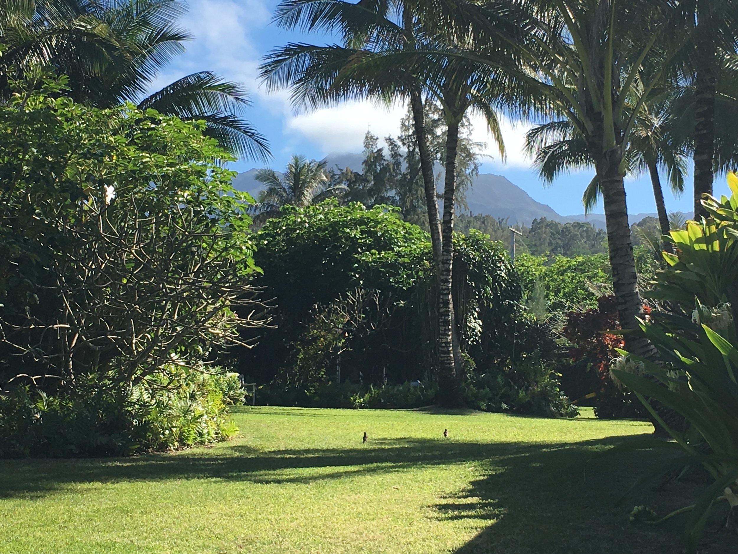 The Hale Makai Grounds A Tropical Garden By The Sea North Shore