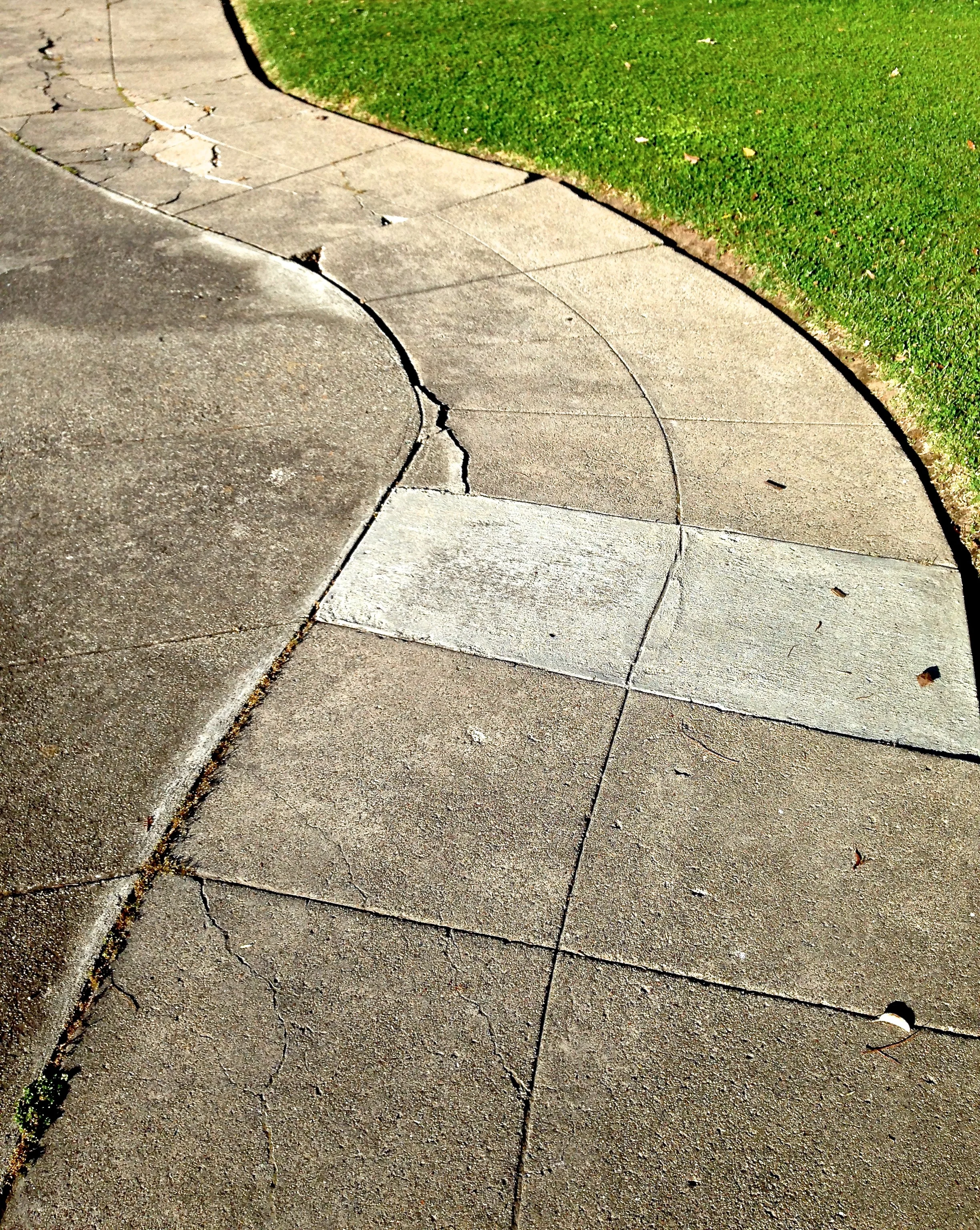 'CONCRETE RIVER & GRASS'