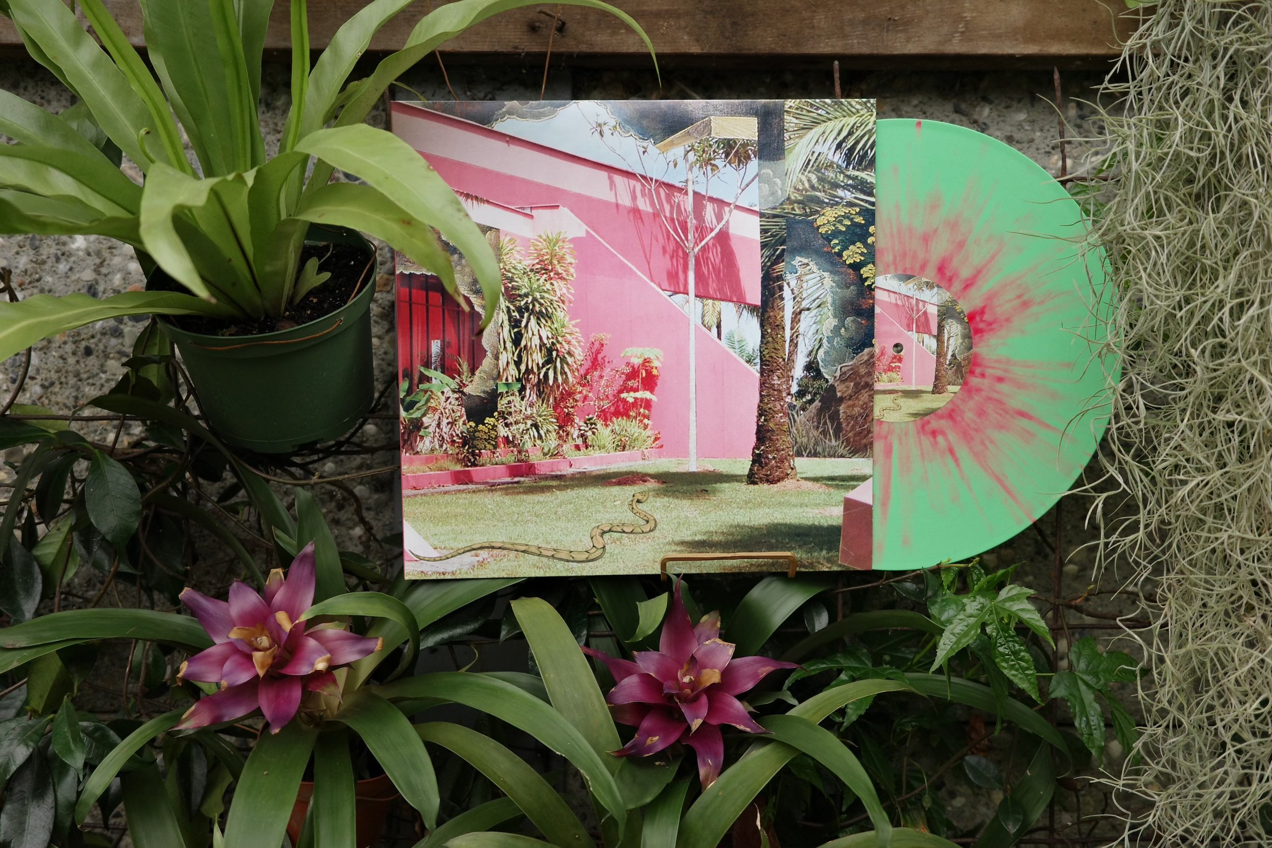 SCM recordz-4.jpg