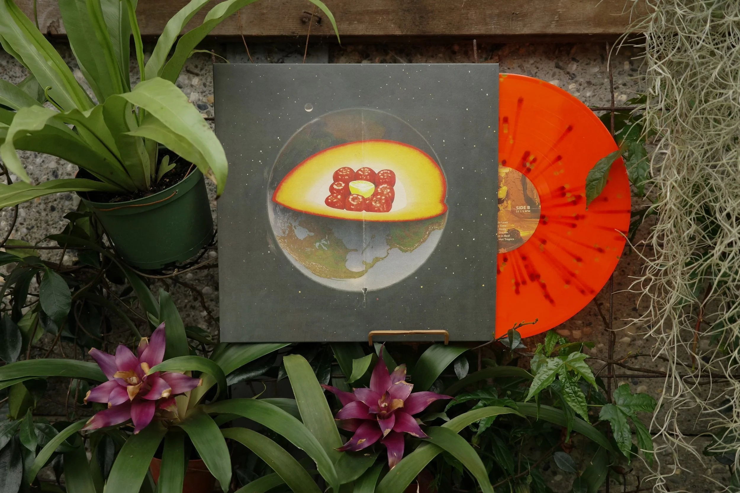 SCM recordz-2.jpg