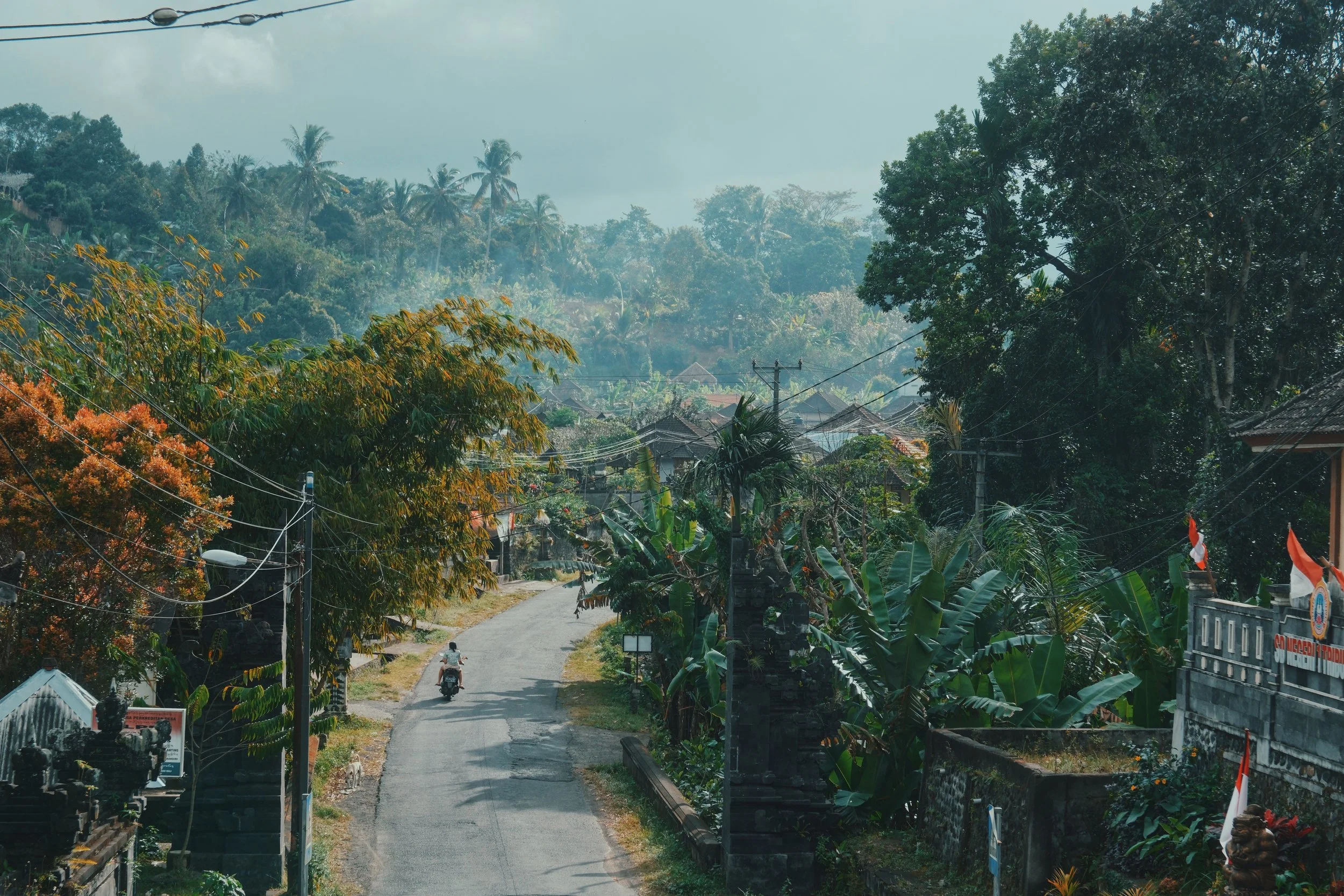 Indonesia: Bali, Yogyakarta, Jakarta
