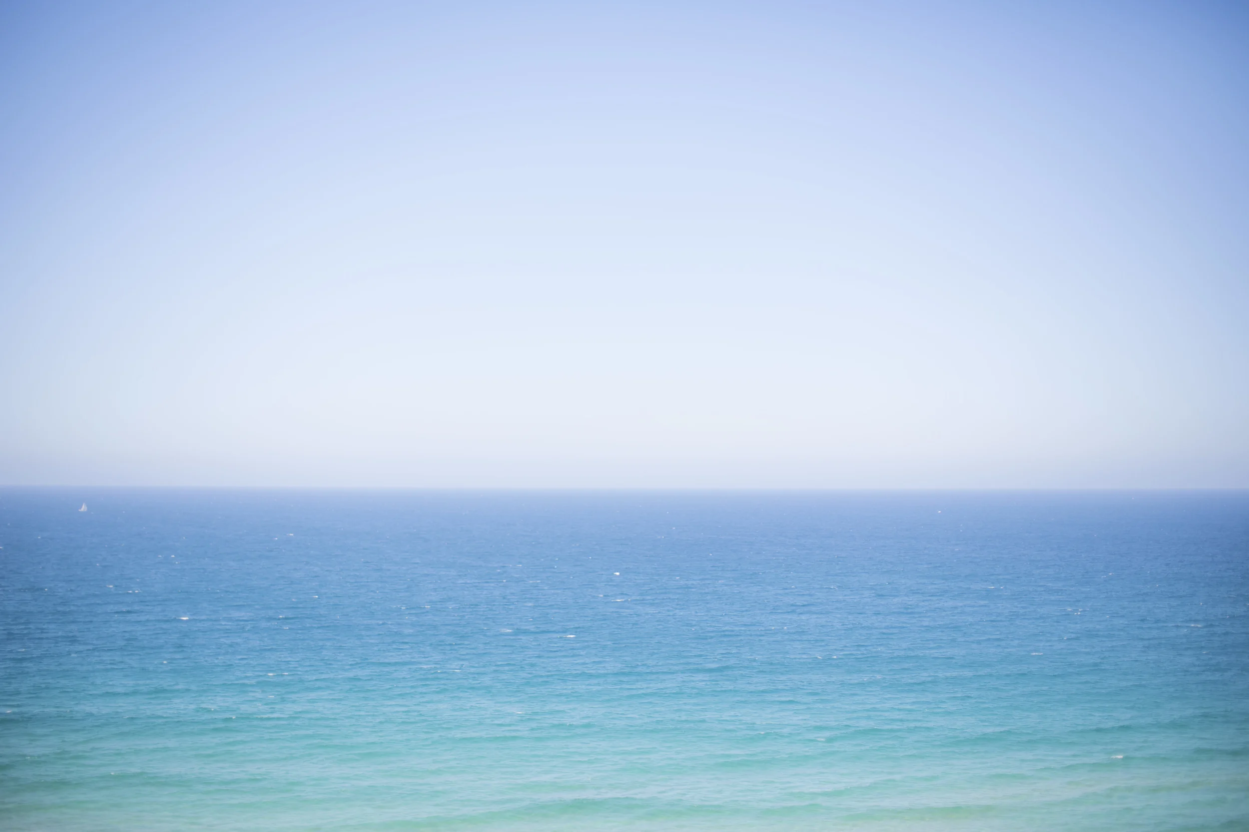 FD8A9521.JPG