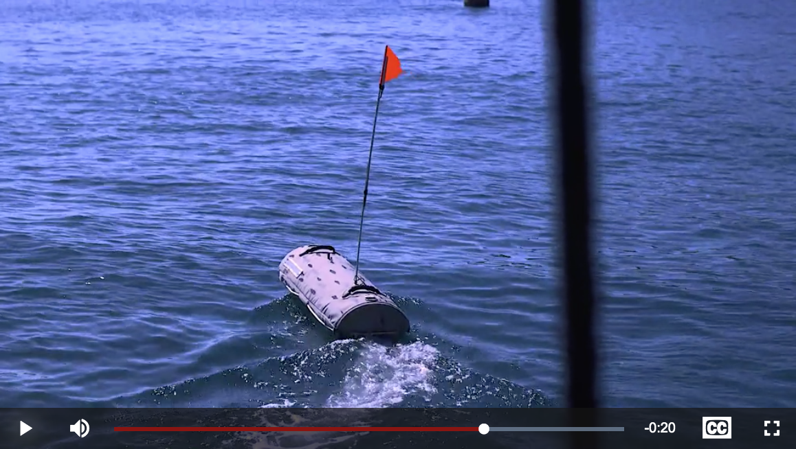 Stabilizing the Surf Zone