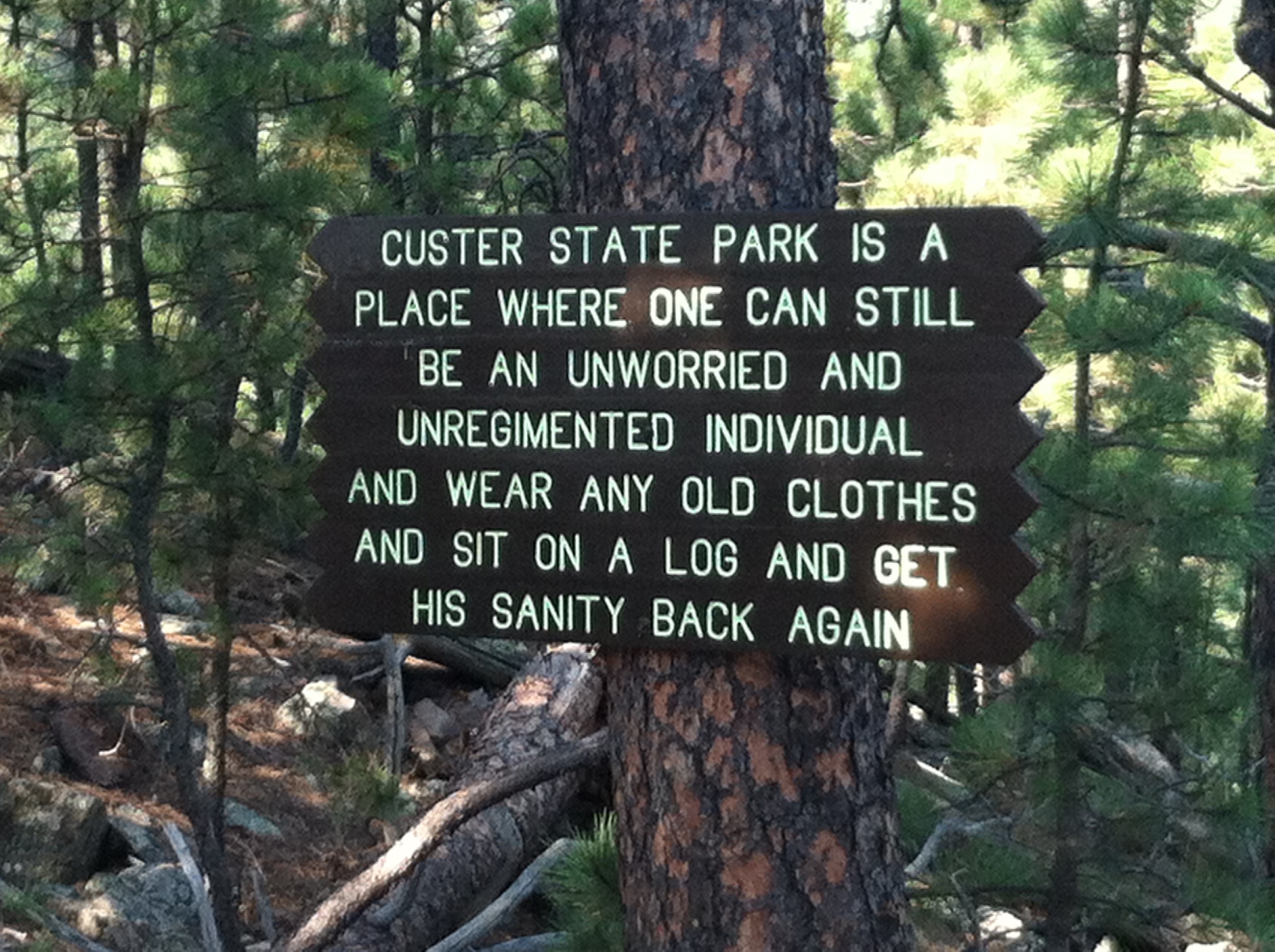 Custer State.jpg