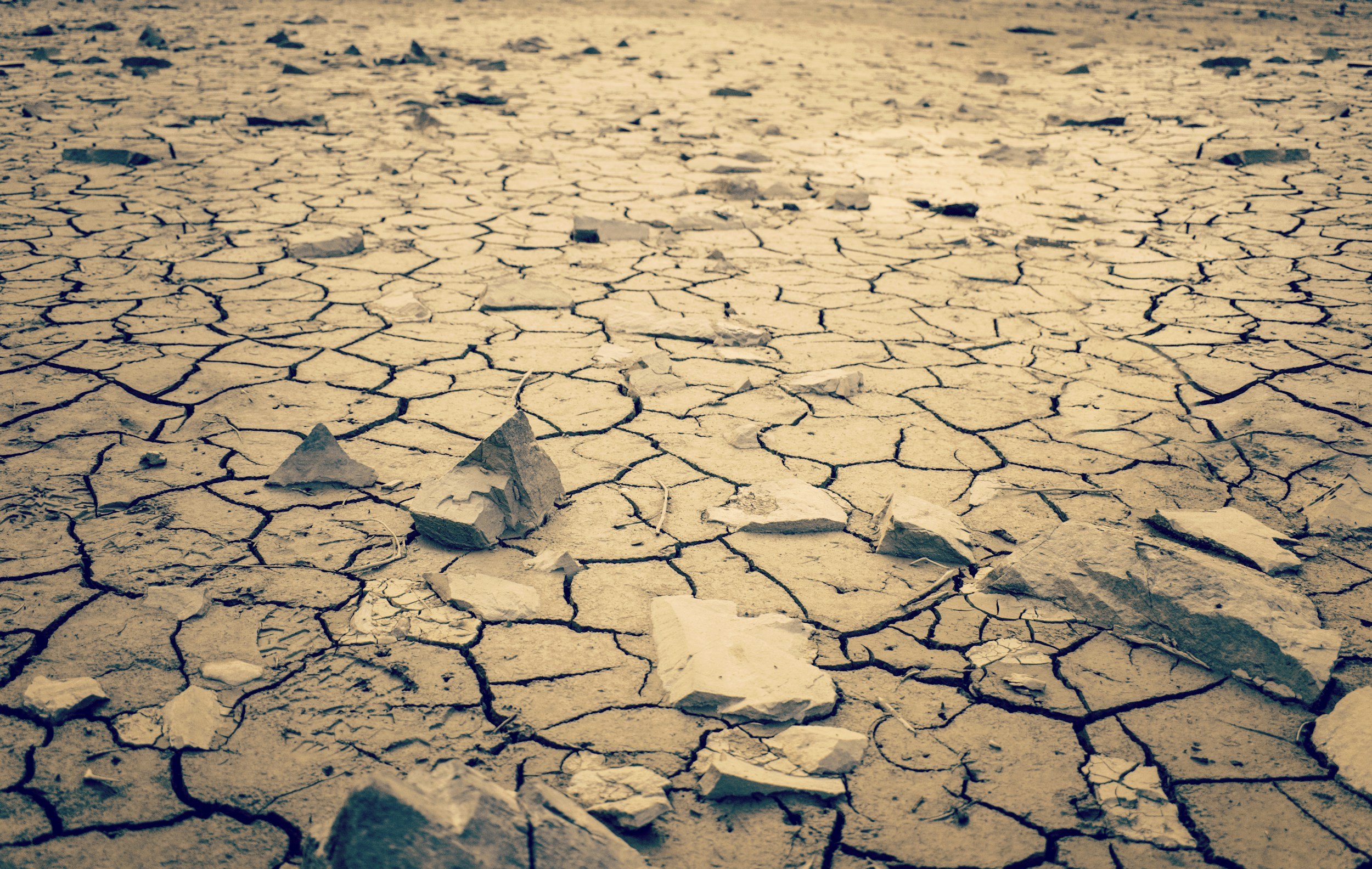 "Barren Earth," a video sermon by Rev. Dr. Daniel Kanter, moderated by Susan Hixson