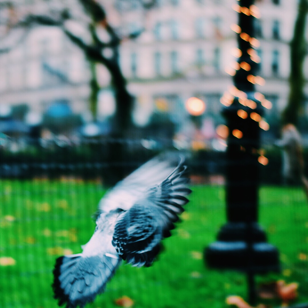 DECEMBER 2015
