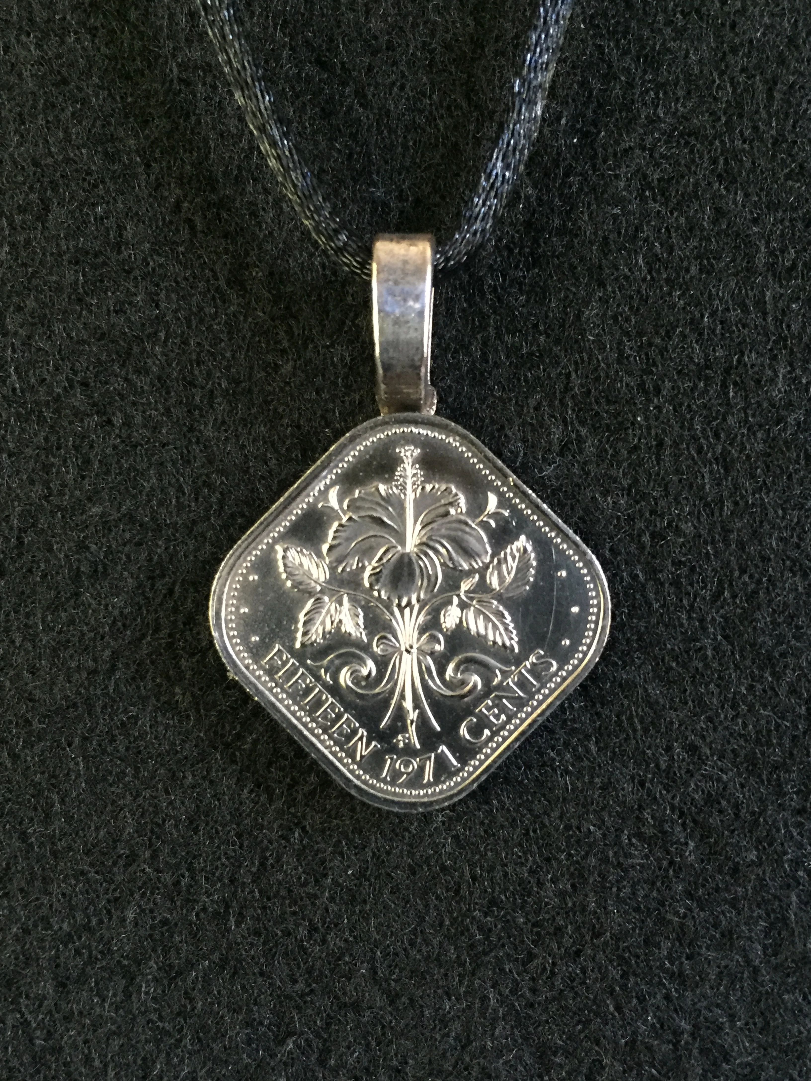 Bahamas Hibiscus.JPG