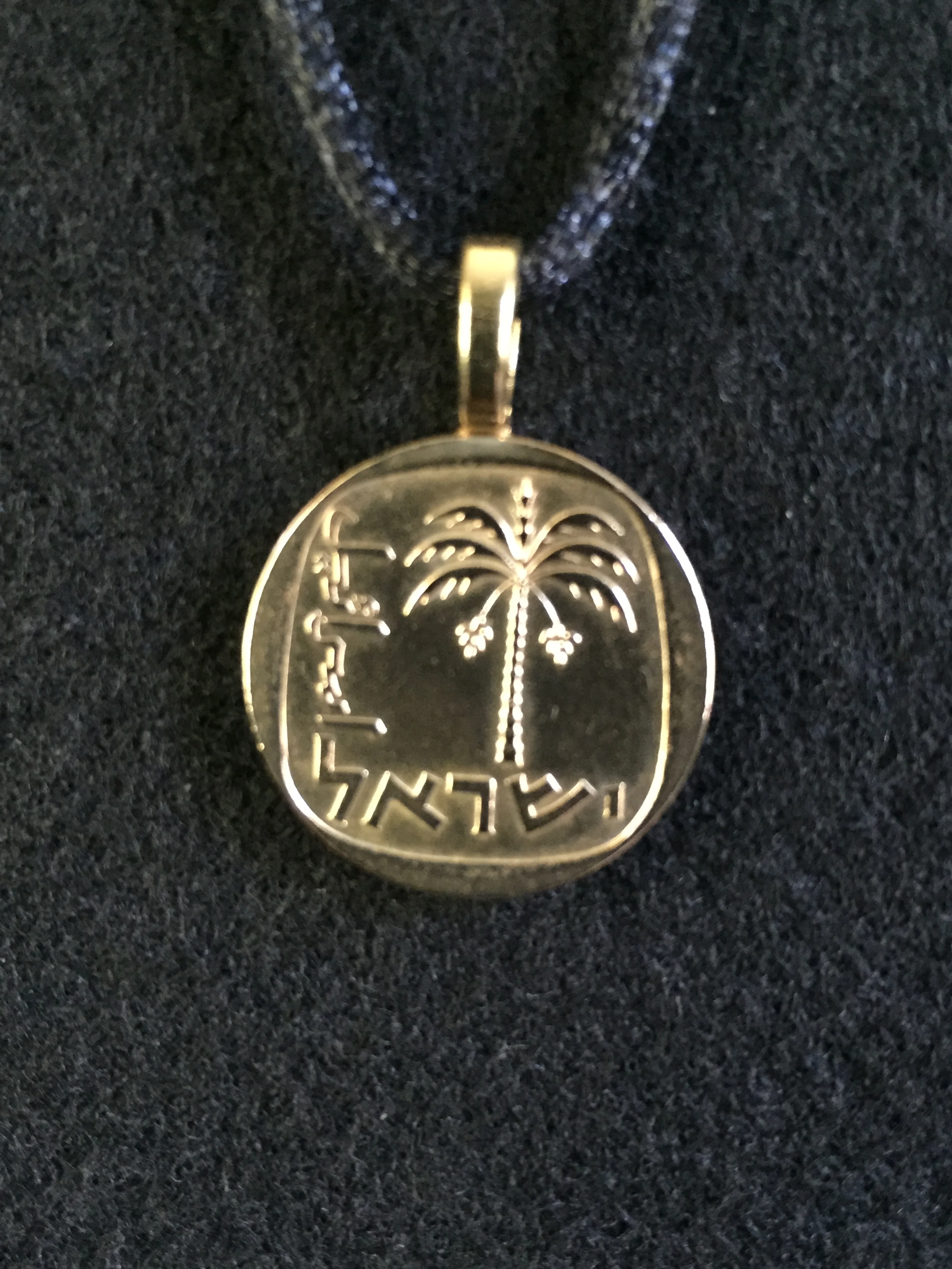 Israel Palm Tree.JPG