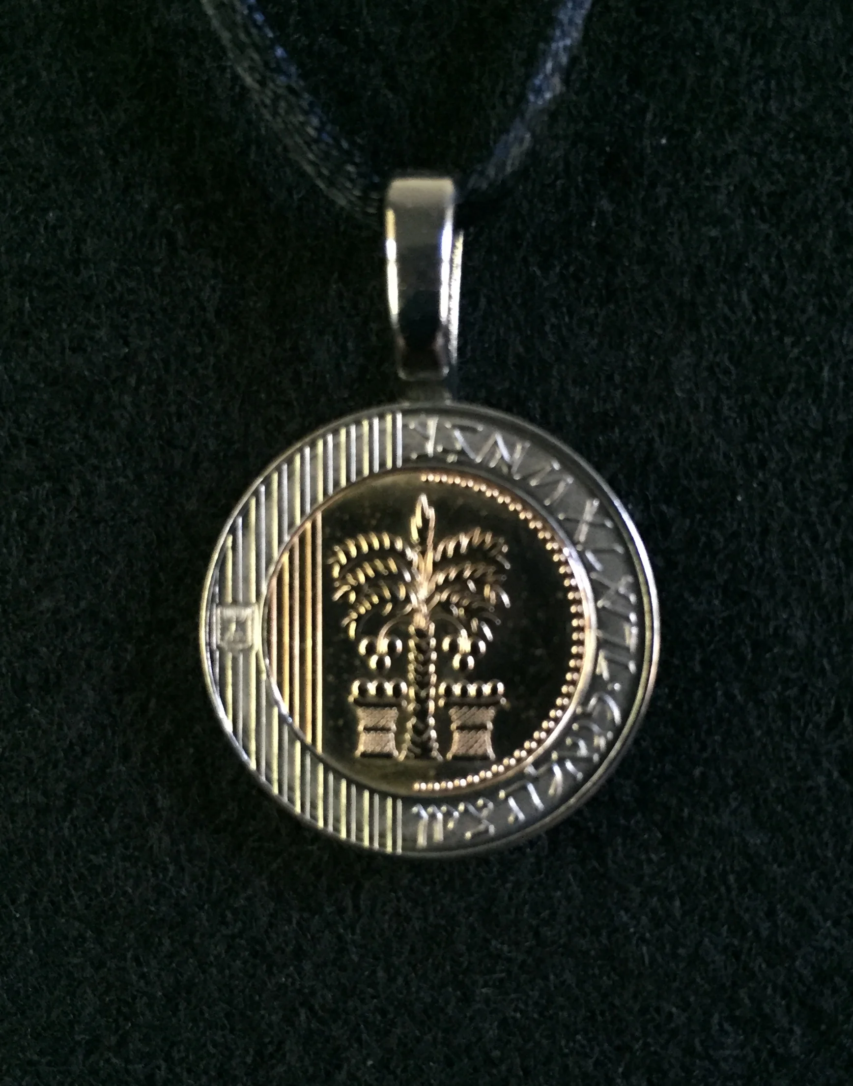 Israel BiMetal Palm Tree.JPG