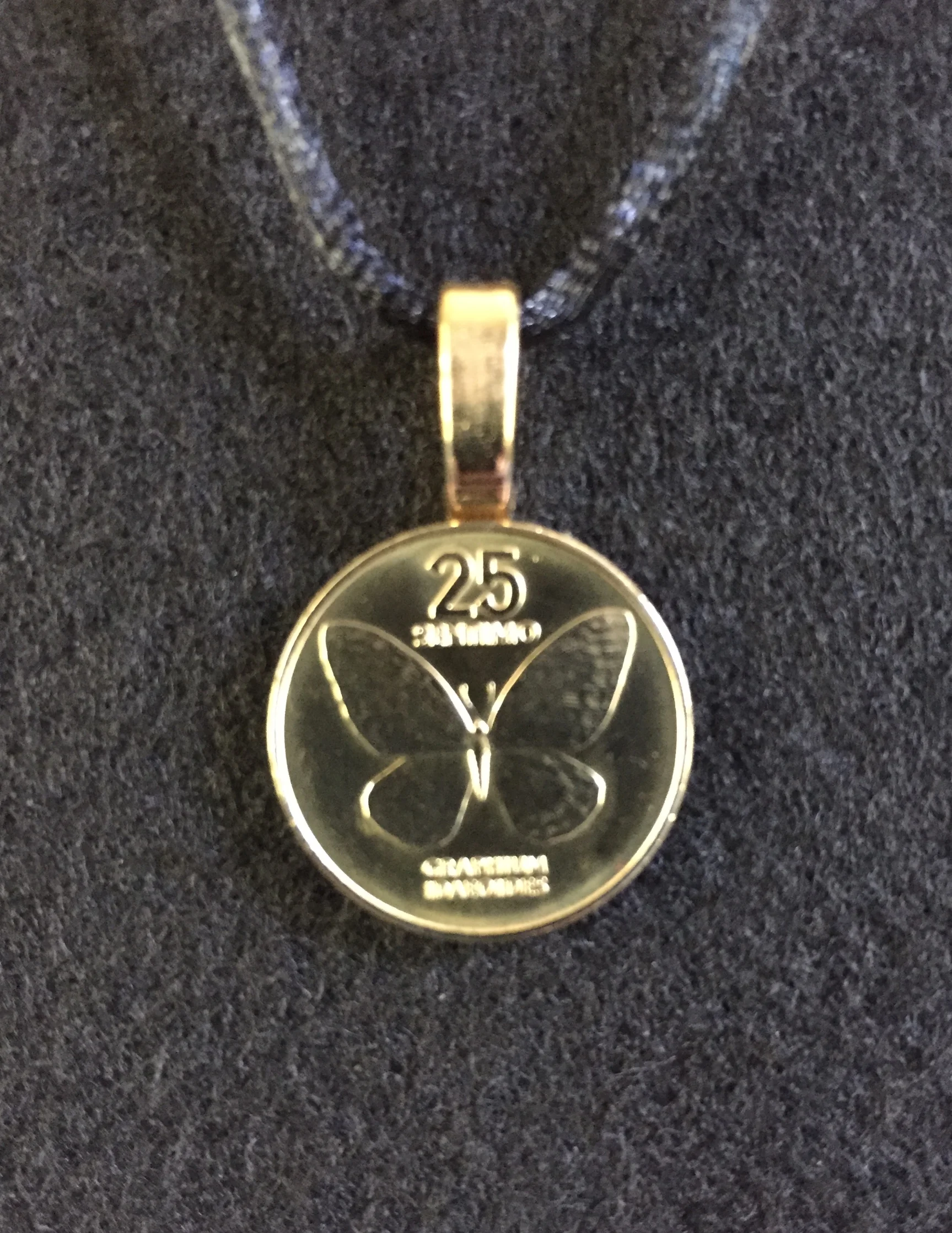 Philippines Butterfly.JPG