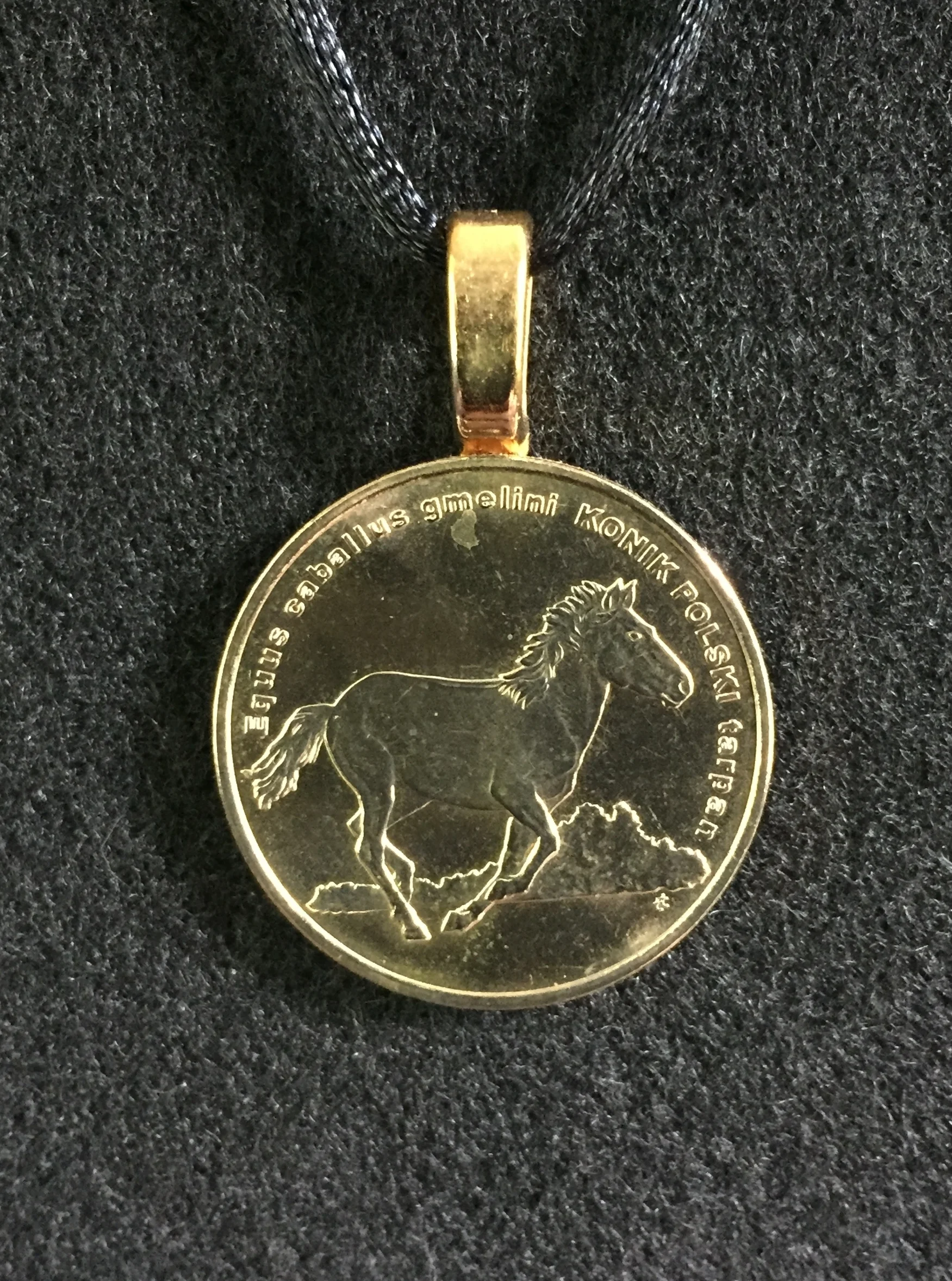 Poland Running Horse.JPG