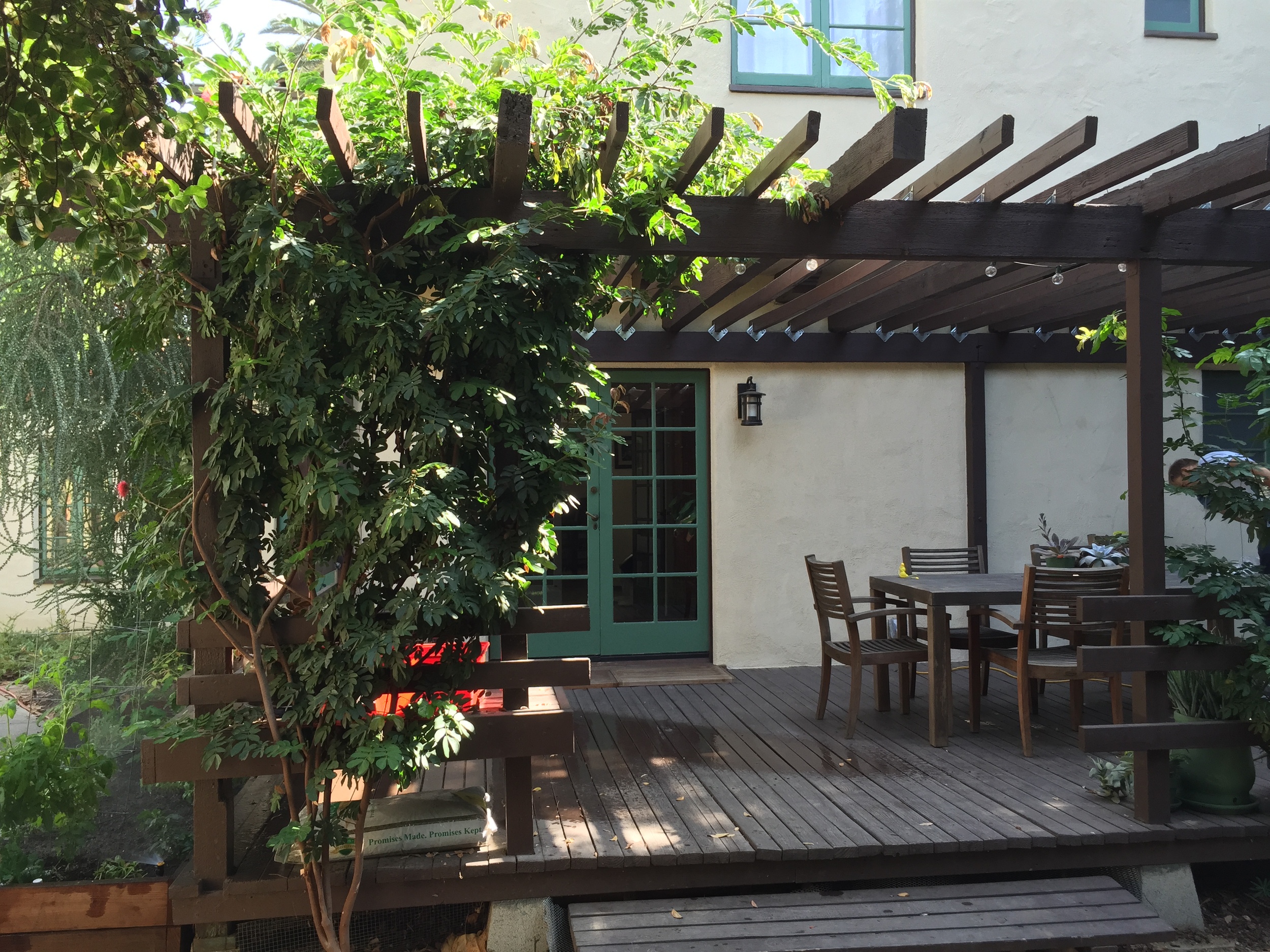 Australian native drought tolerant gardens. 