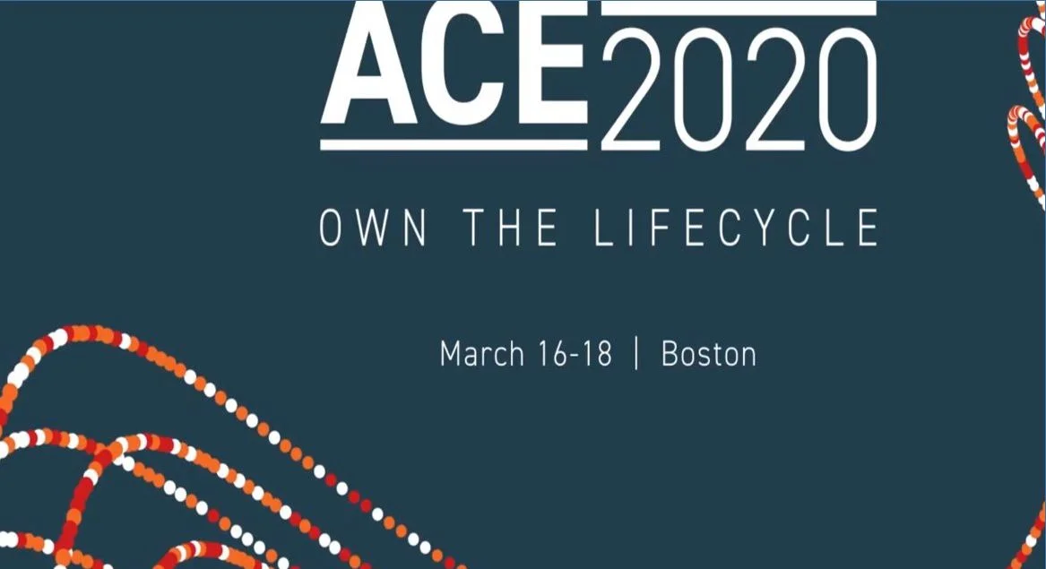 ACE 2020