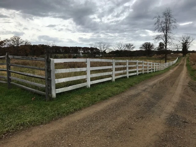 Fence Painting