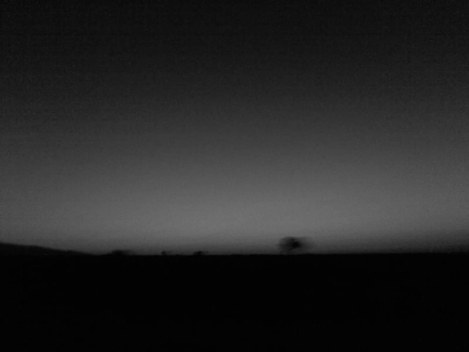 0429012006.jpg