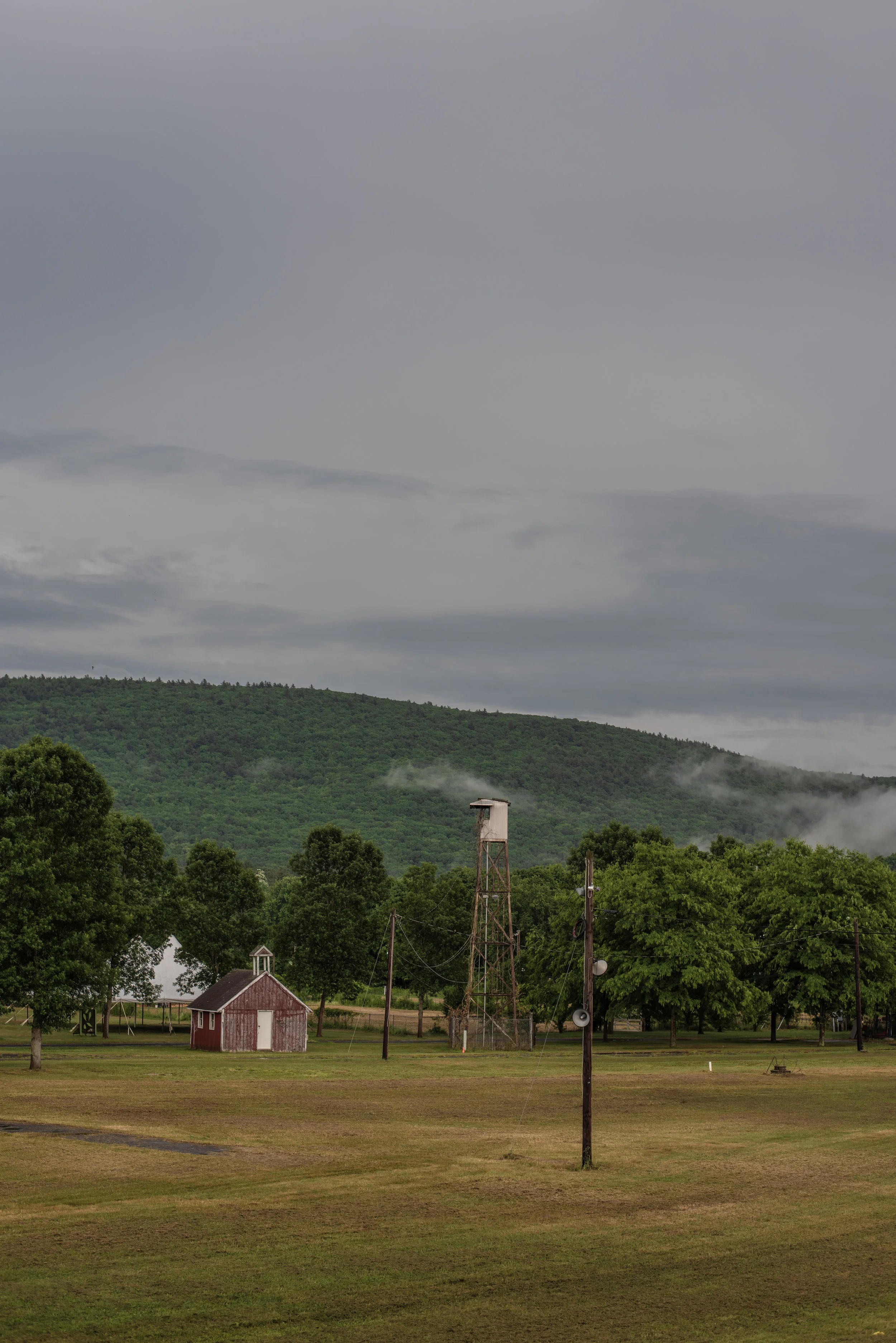 DSC_2339.jpg