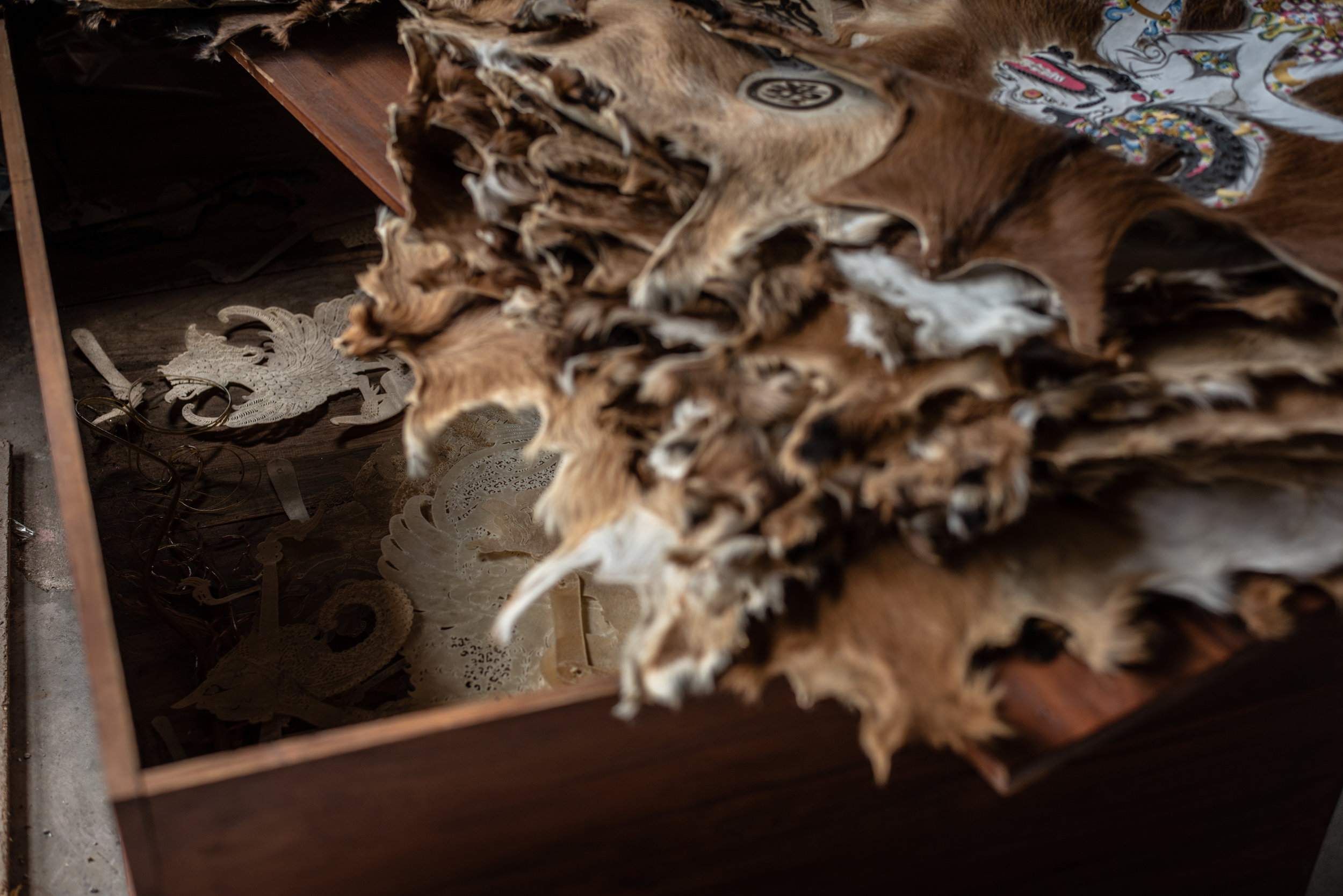  Leather hides (usually cow) that will eventually become shadow puppets 