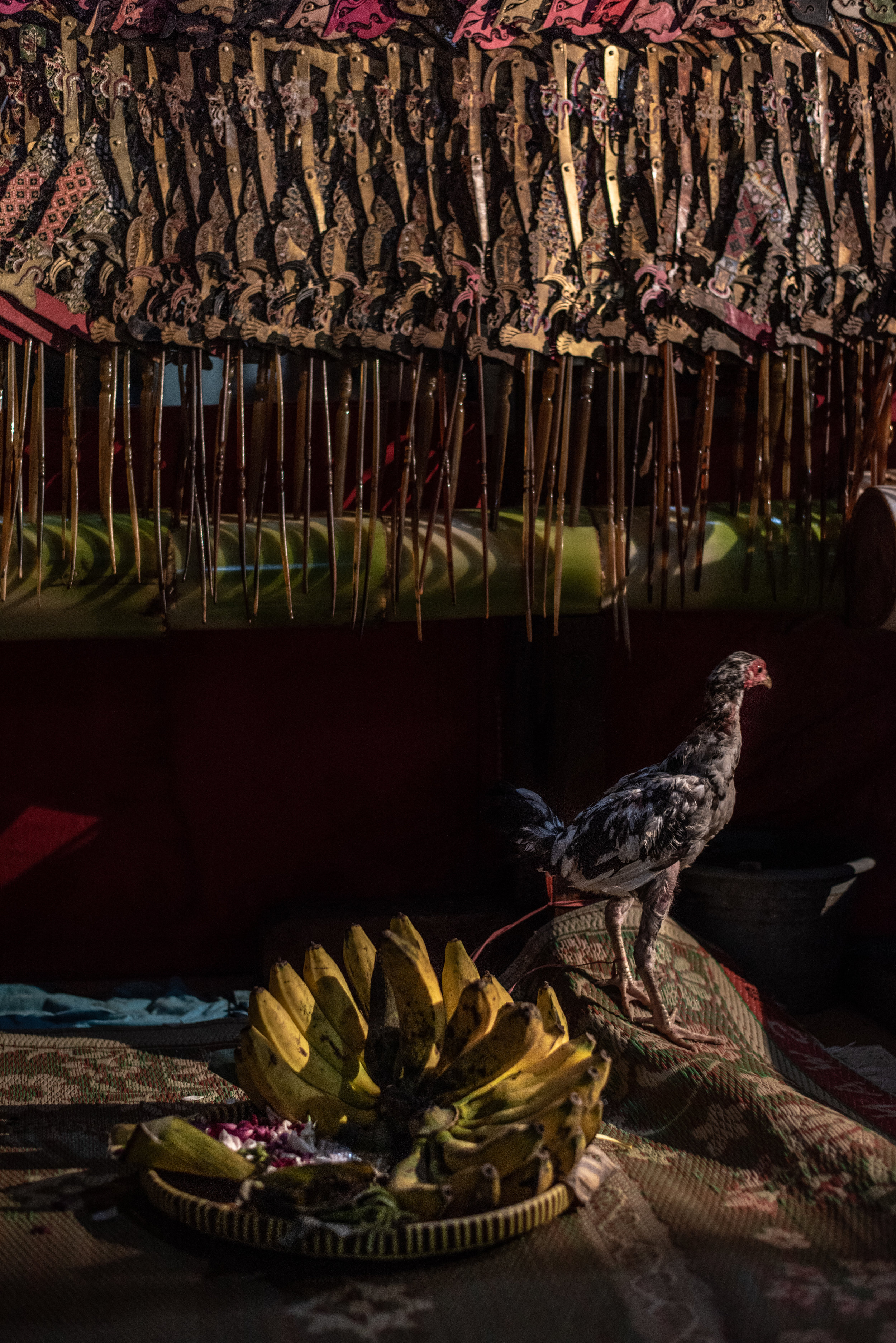 The chicken and fruit represent Sajen, a gift offering to the spirits