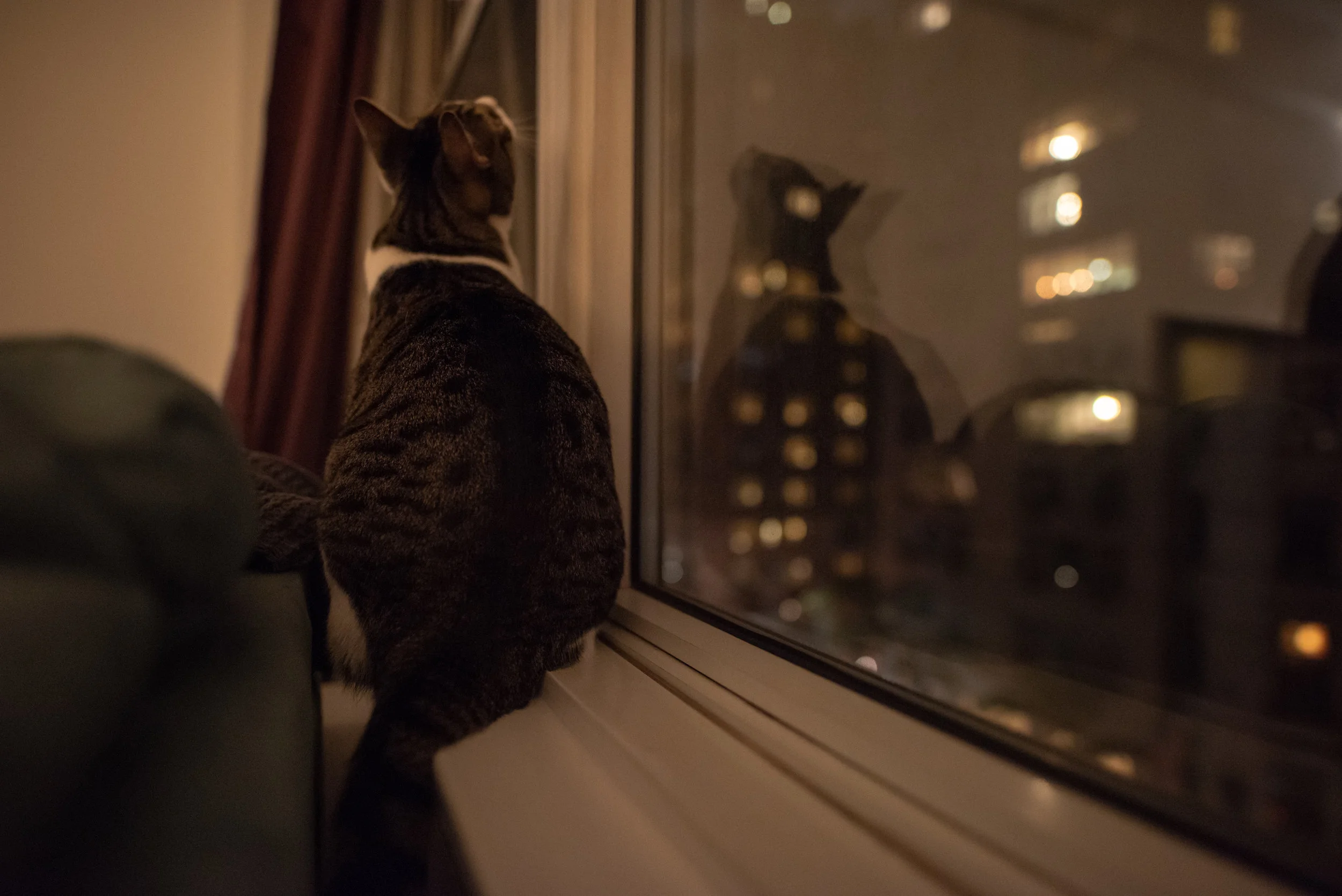 20181109-DSC_8194-redux.jpg
