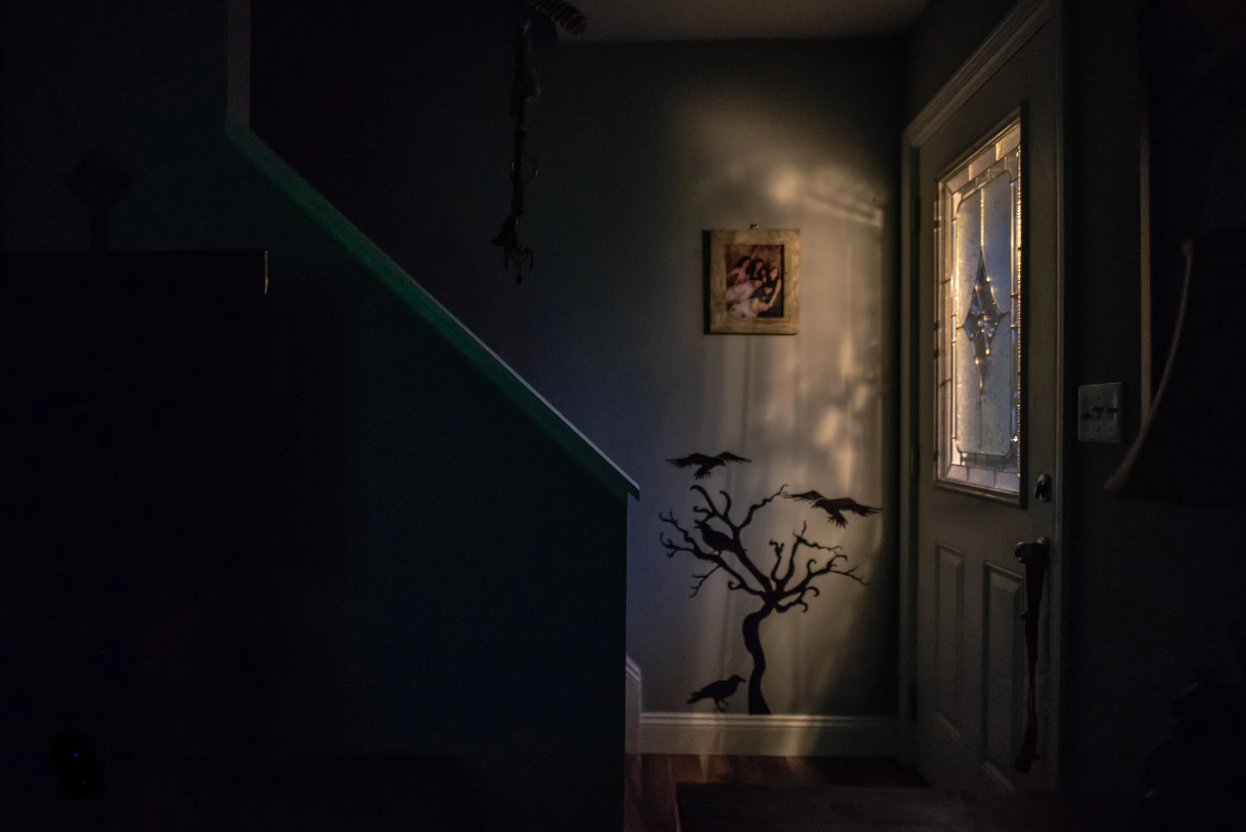 20181202-DSC_8623-redux.jpg
