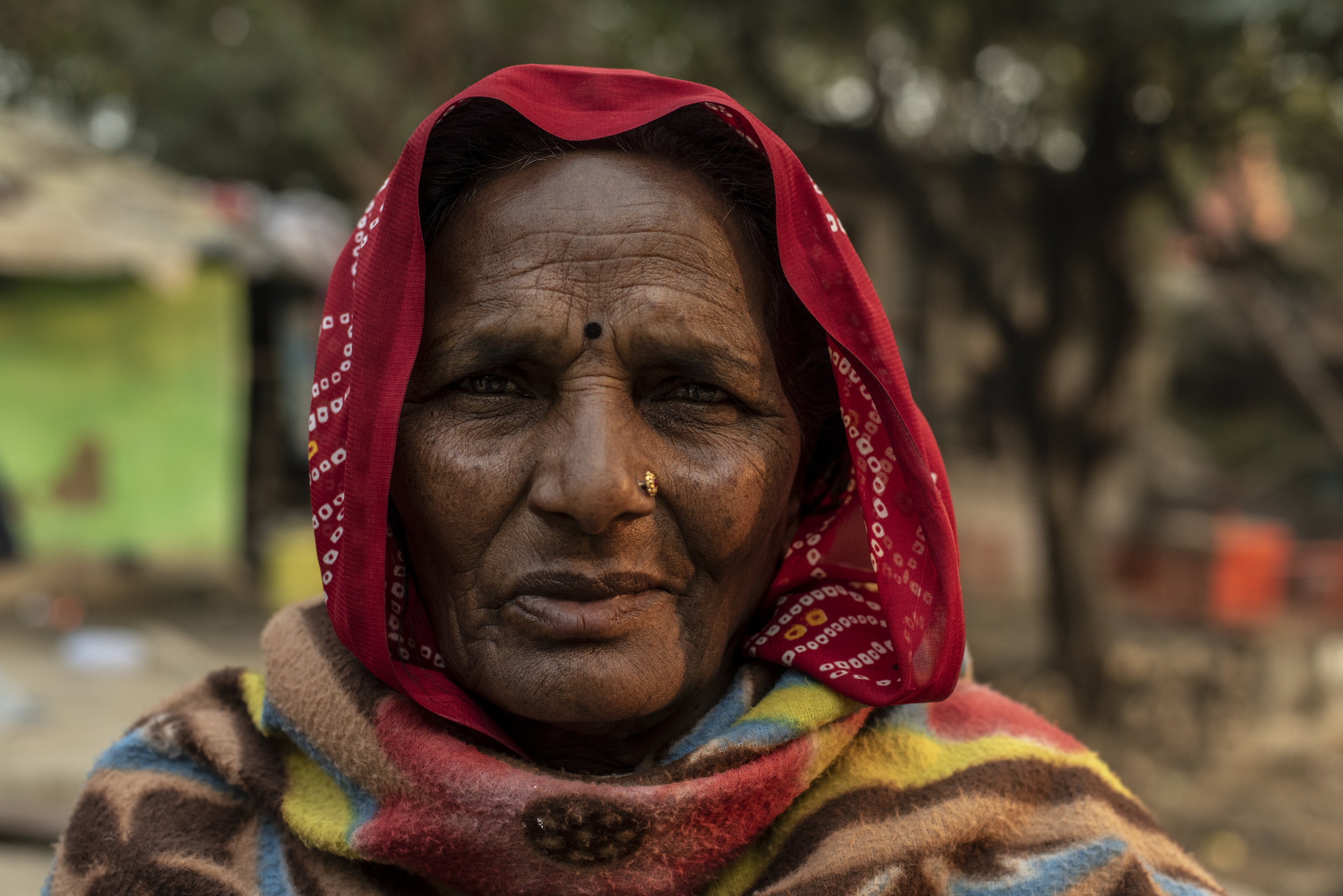  Chanda Devi, age 70, lives in a small swampy copse just outside of Sangam with her children and grandchildren.     