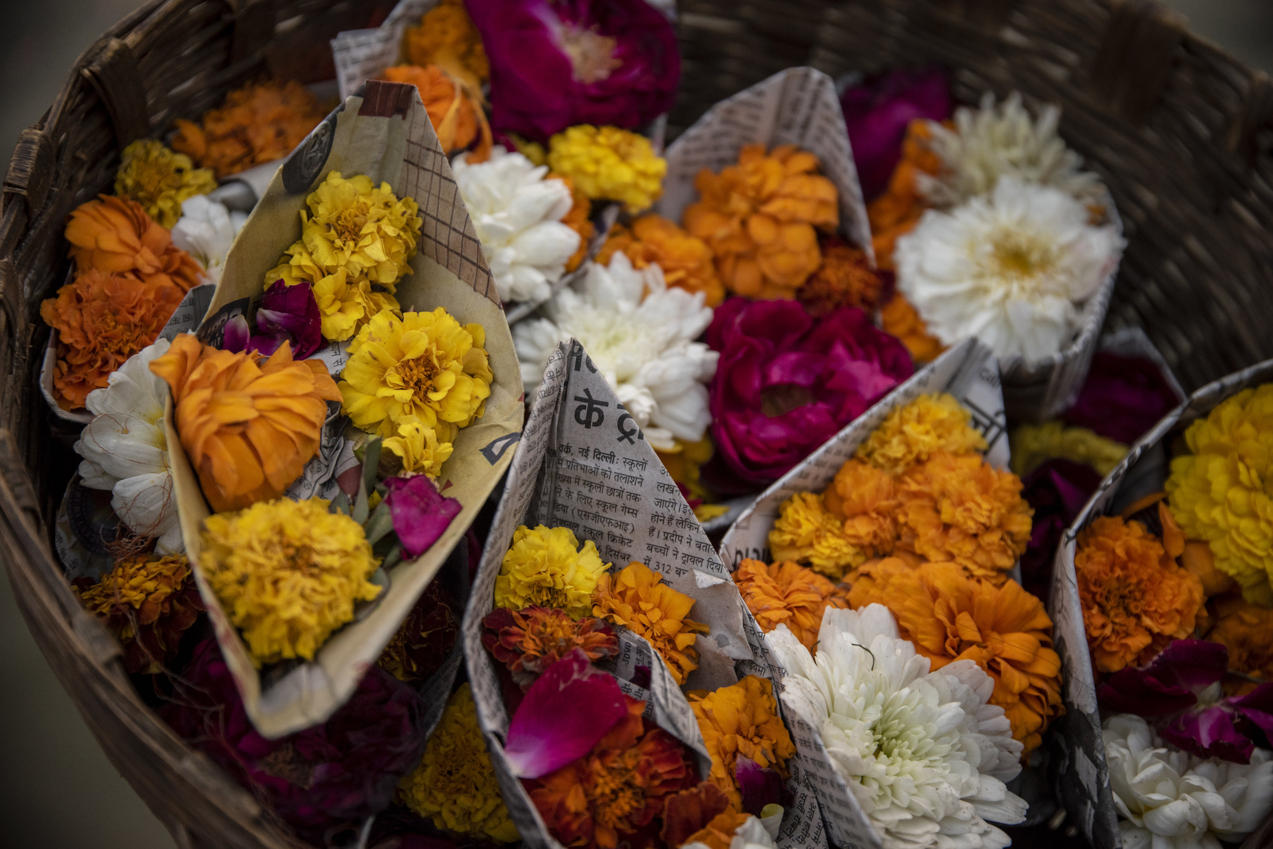  A basket of paper boats filled with Pooja offerings to be sent down the river 