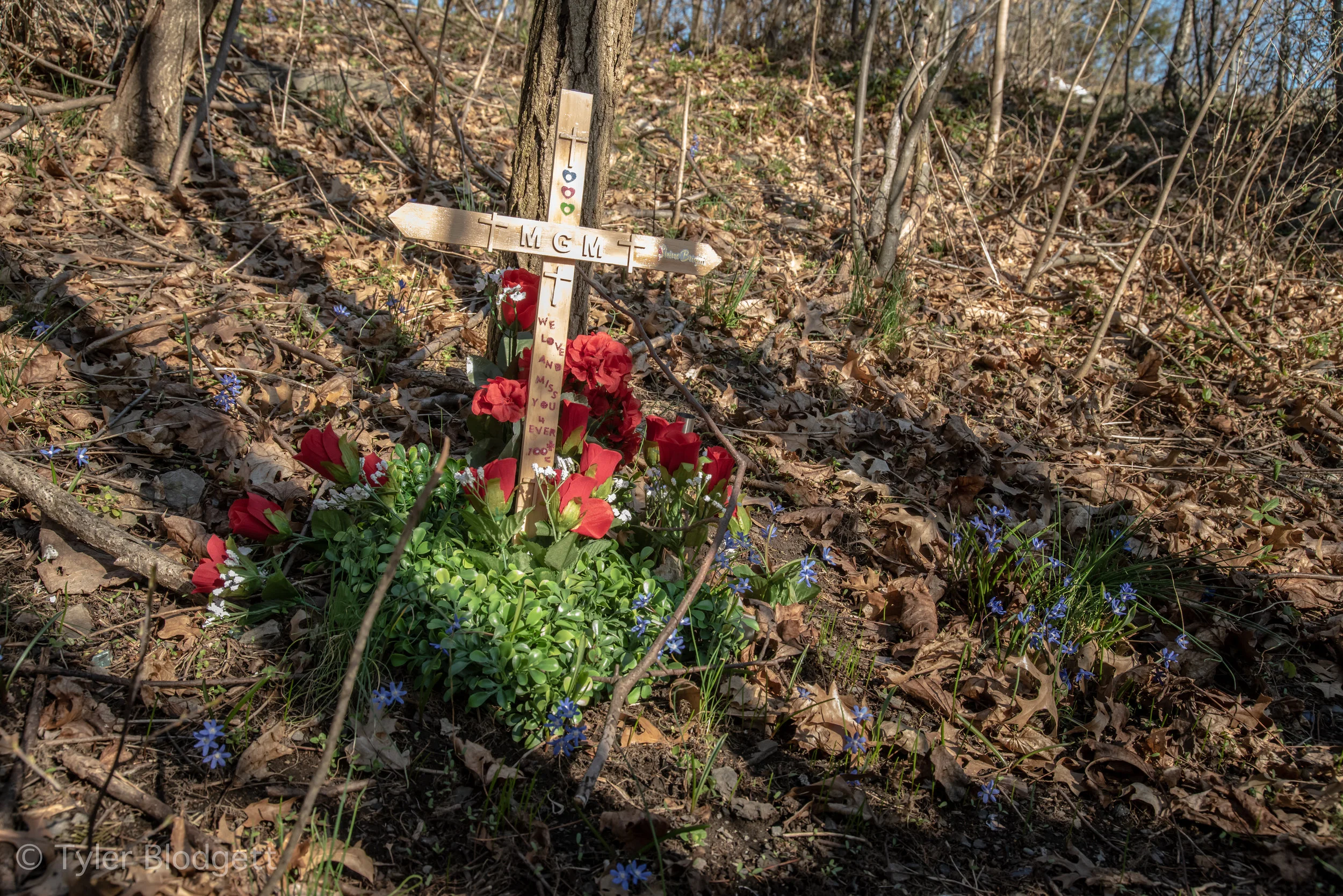 20190406-DSC_1684-redux.jpg