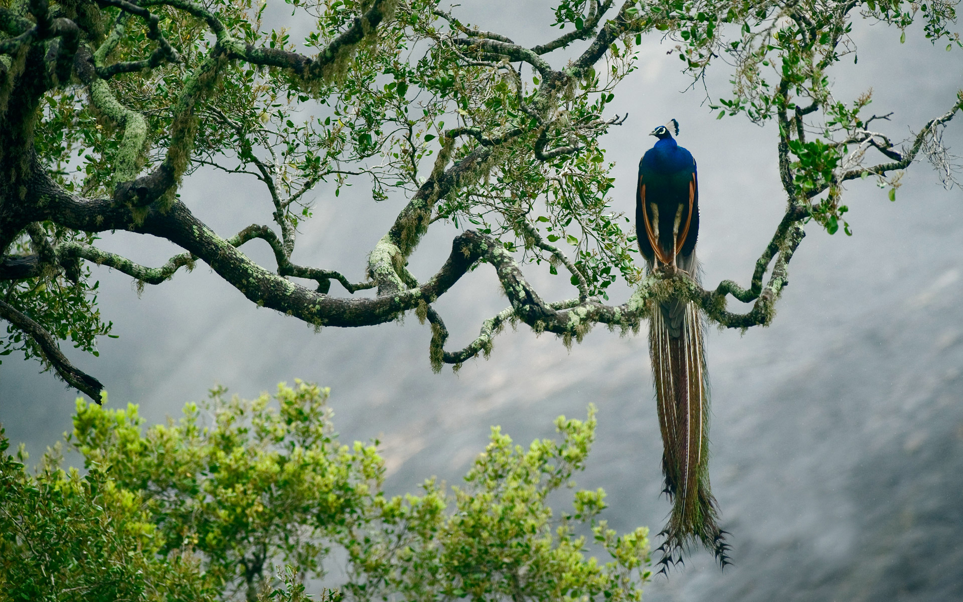 BingWallpaper-2015-07-02.jpg