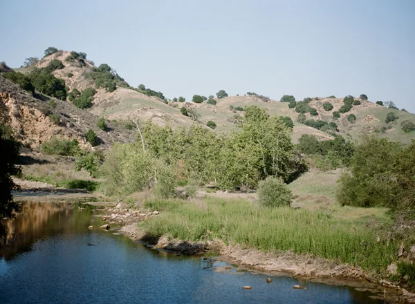 vista 600.jpg