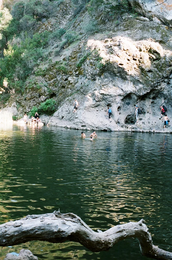 04320023-600.jpg