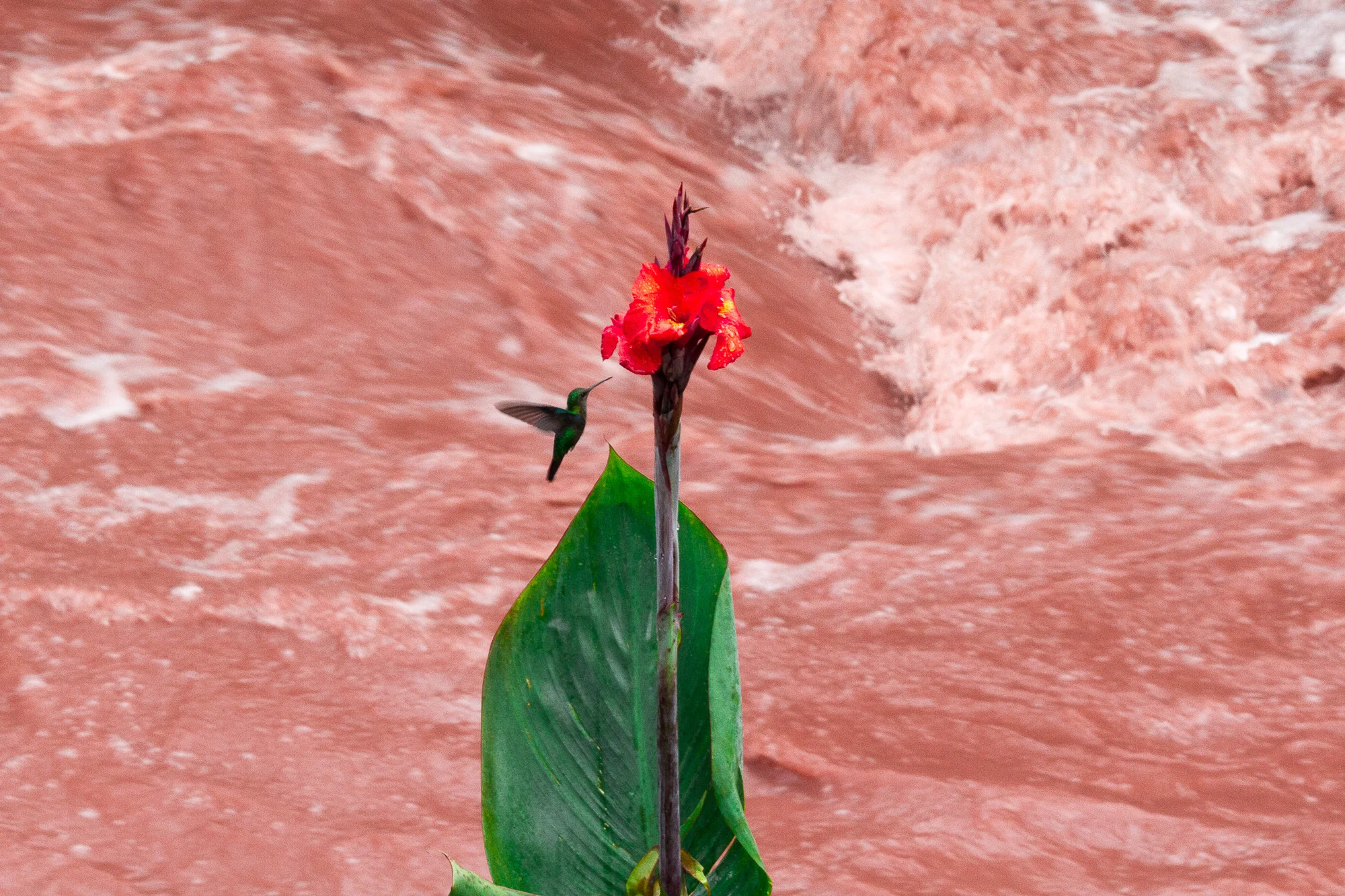 Huasipichay-13.jpg