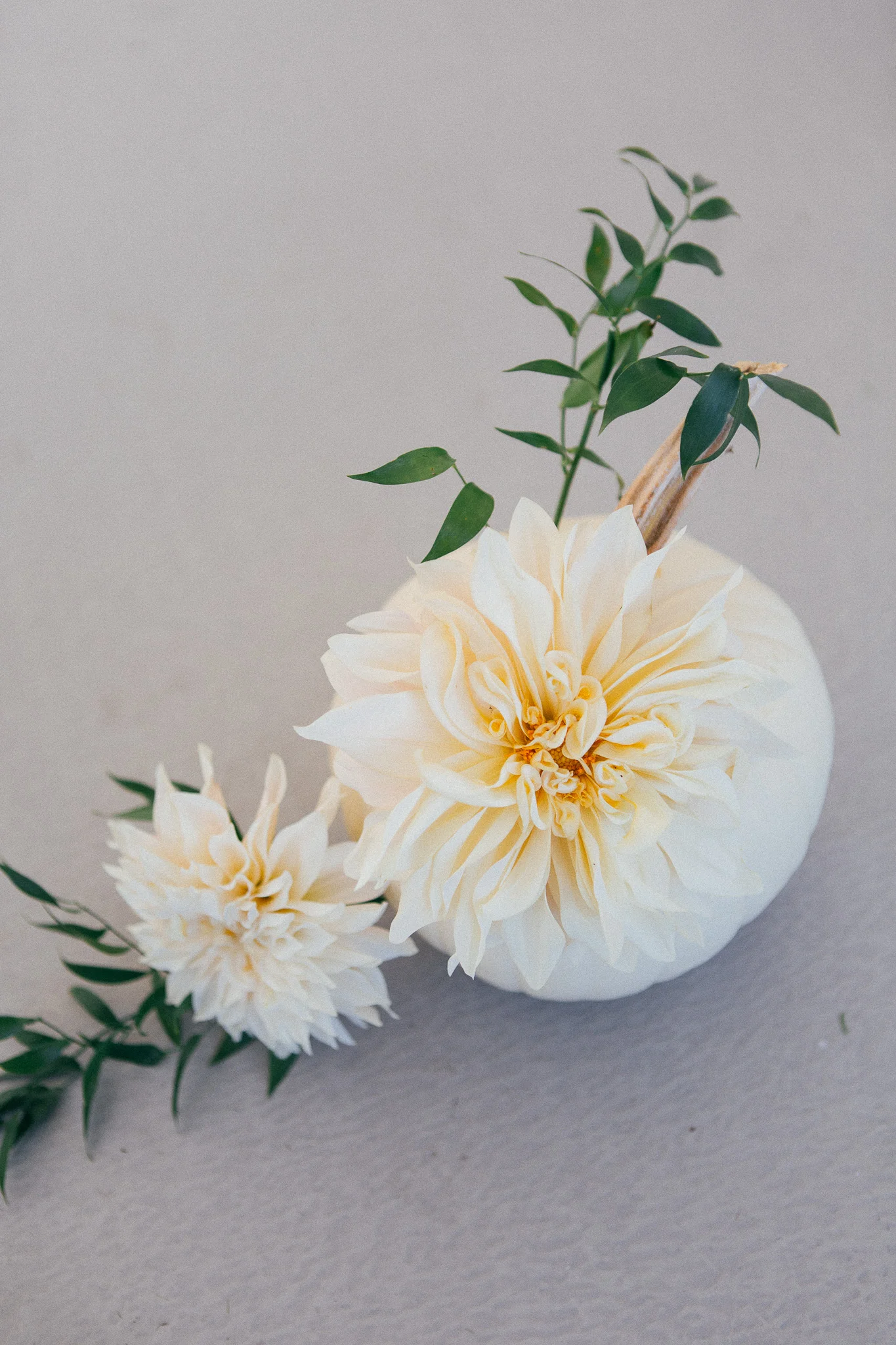 Photography: The More We See Venue: Windrift Resort