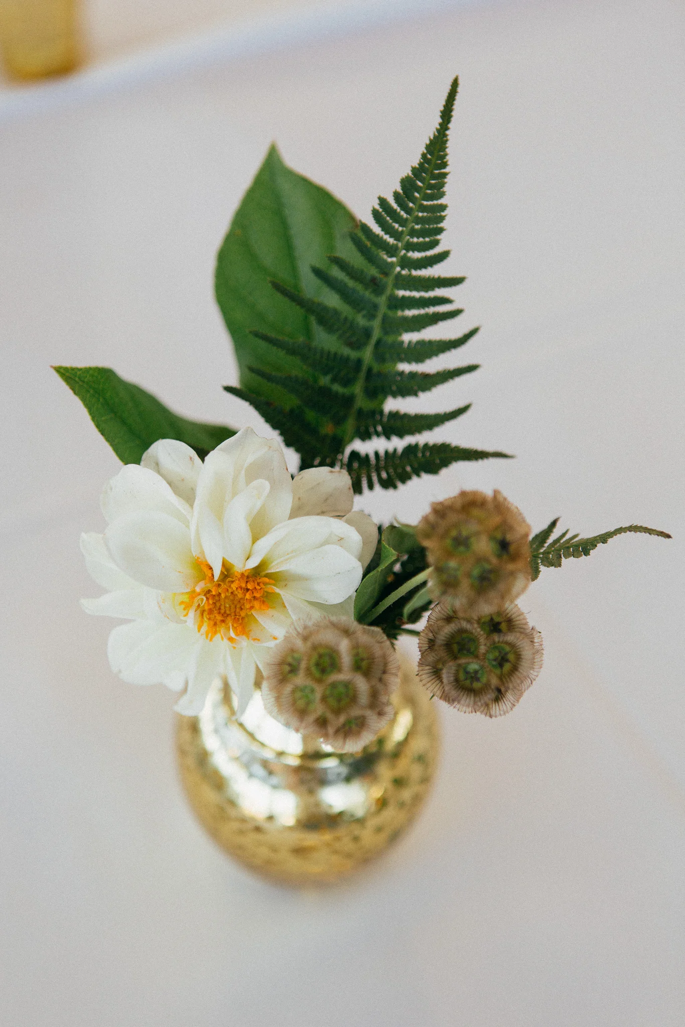 Photography: The More We See Venue: Windrift Resort