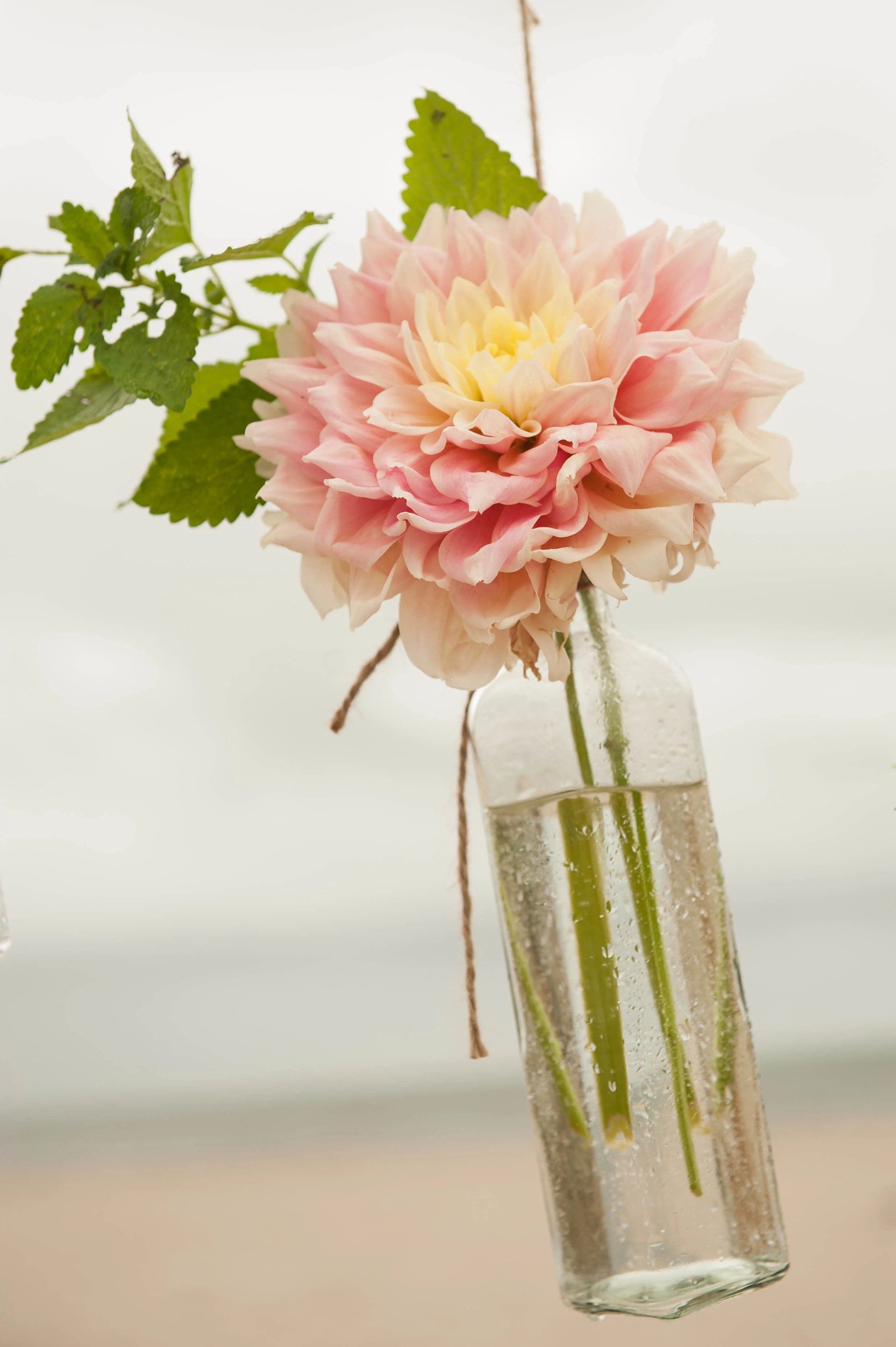 Photographer : Jennifer Baumann Photography Venue: Ocean Club Hotel, Cape May NJ Planner: Kristin Barse, BelMomento