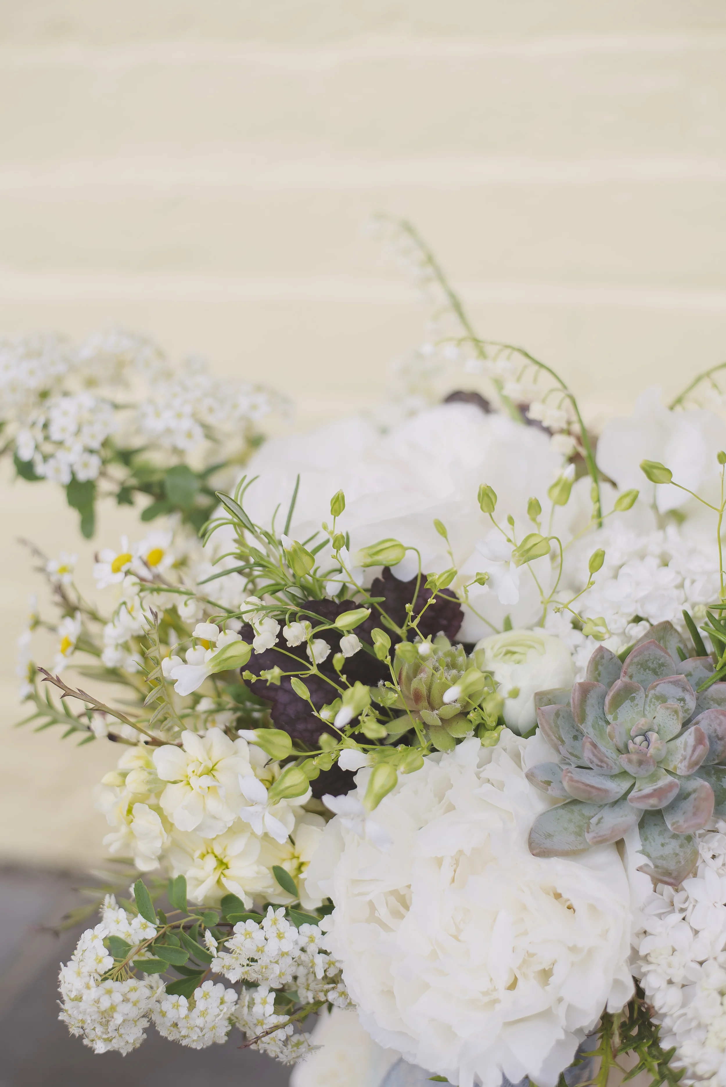 Melissa Fogg Photography : Congress Hall